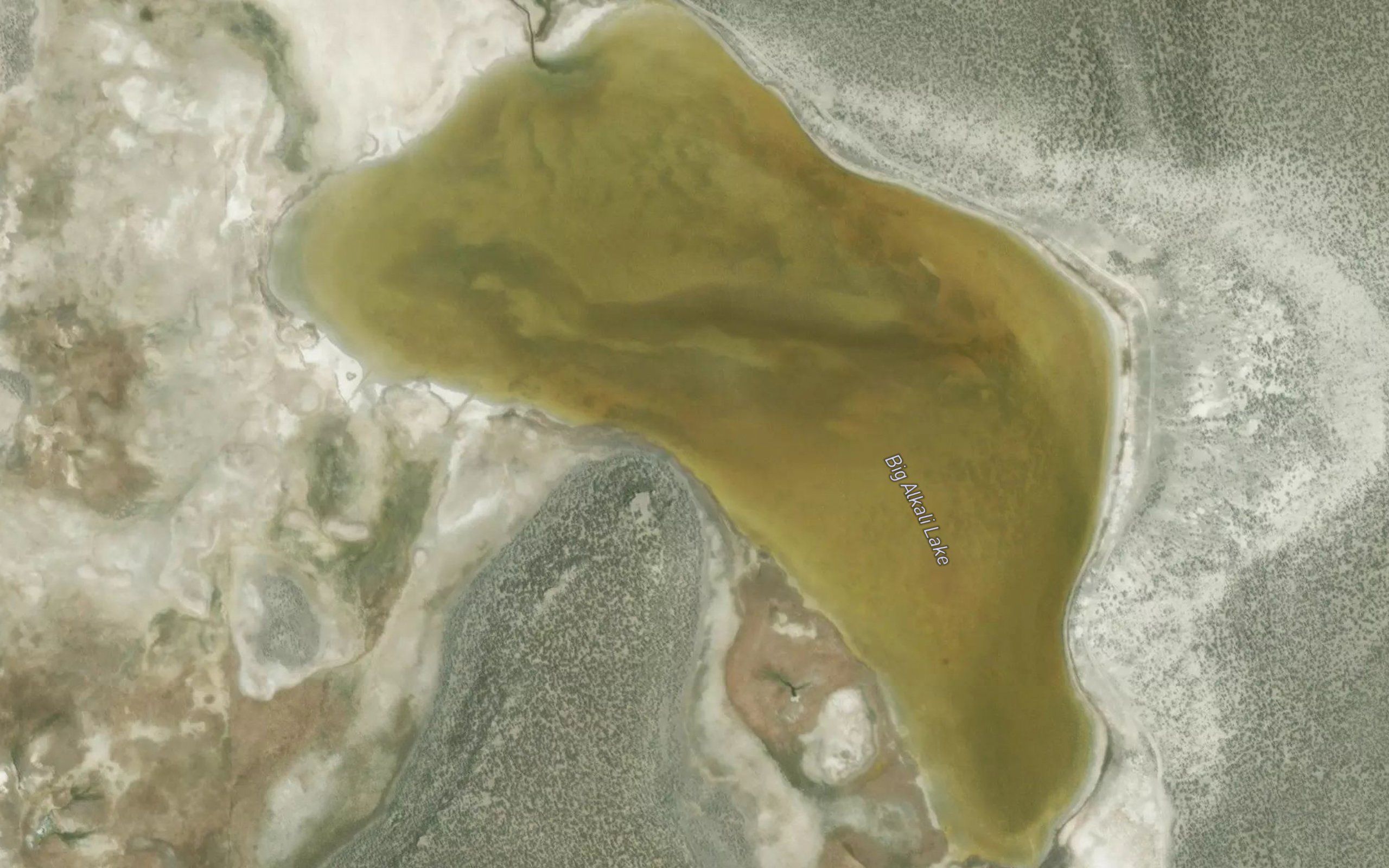 Big Alkali Lake