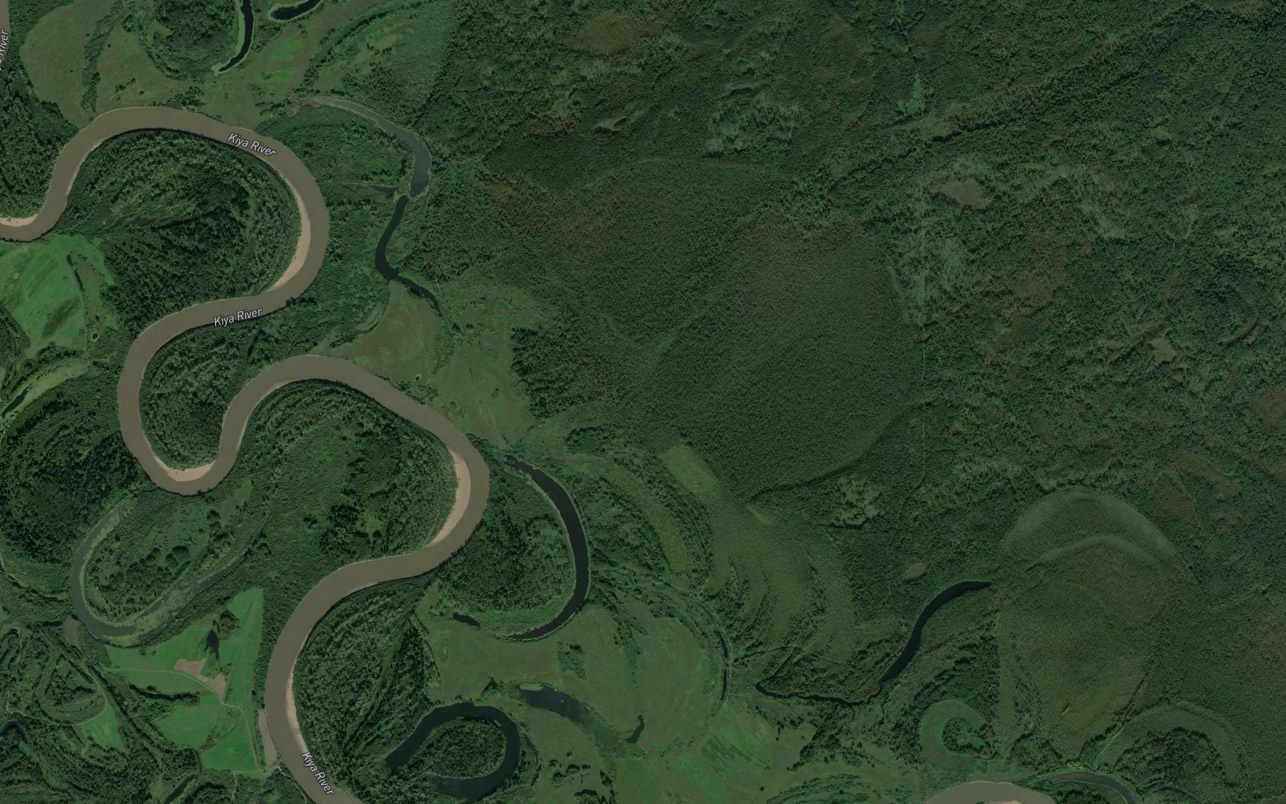 Andadak