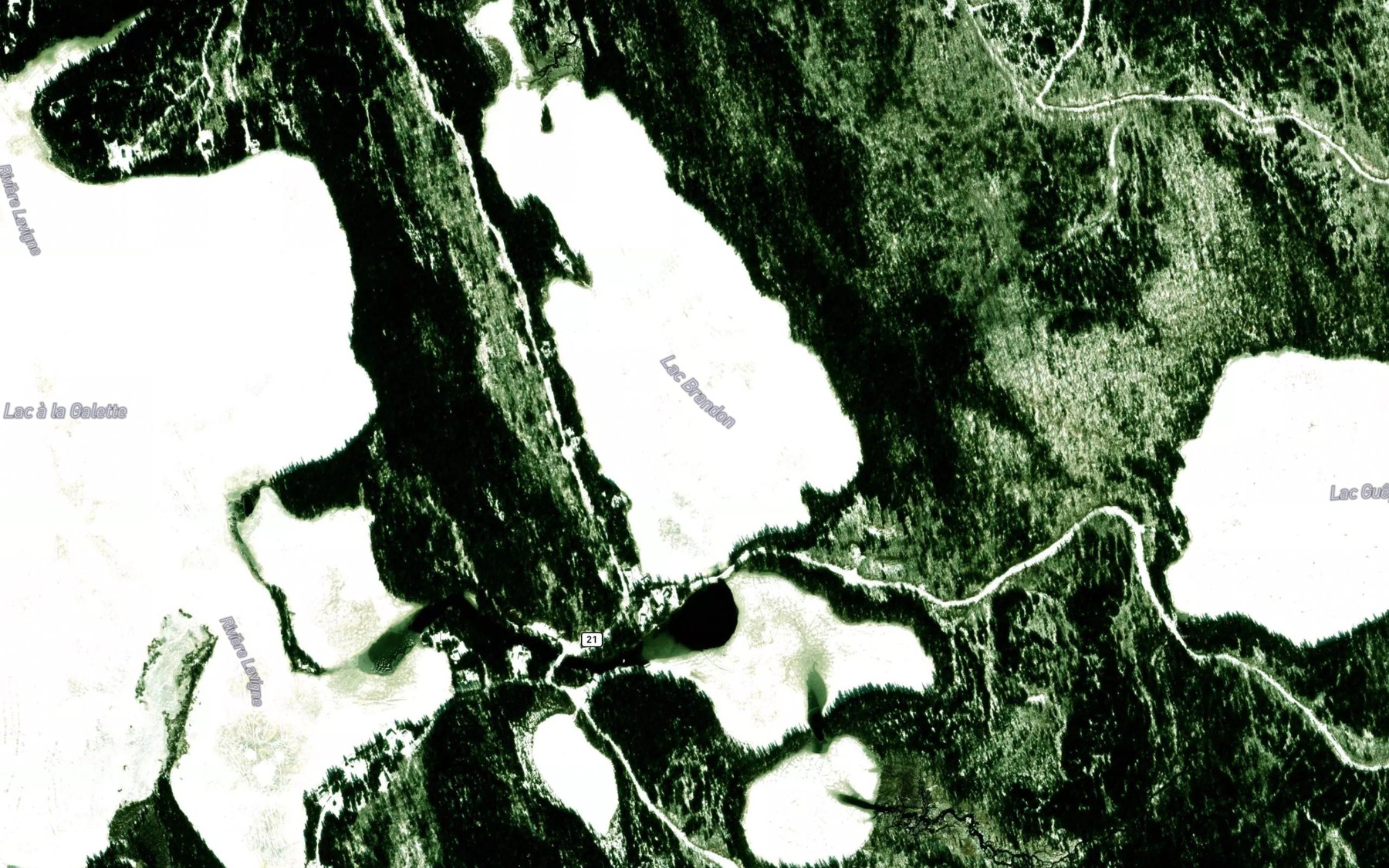 Satellite map of the Lac Brandon