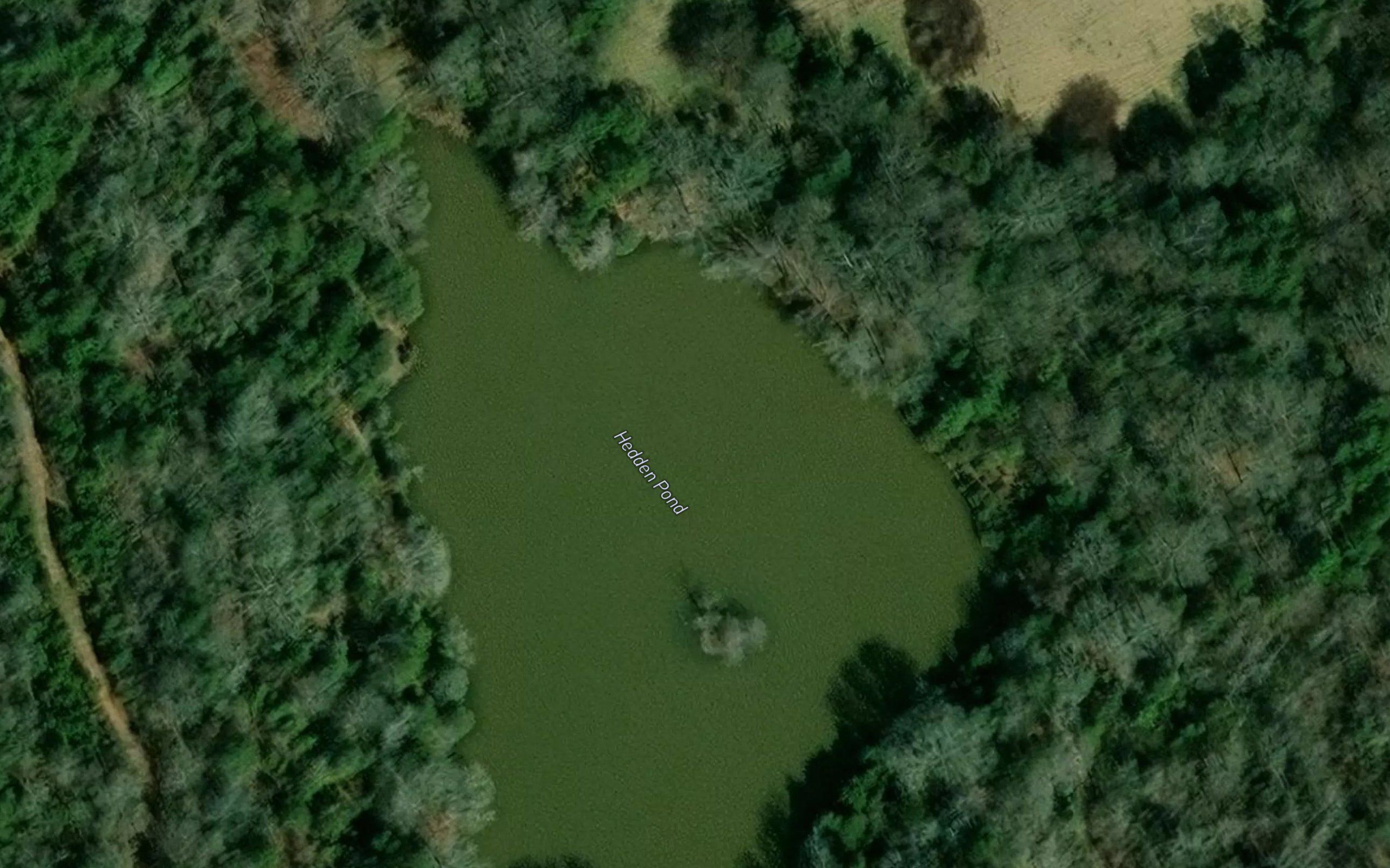 Hedden Pond