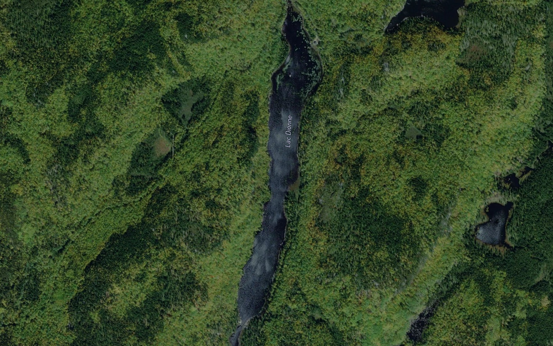 Satellite map of the Lac Dionne