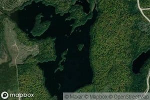 Lac Cub
