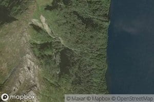 Breisvora