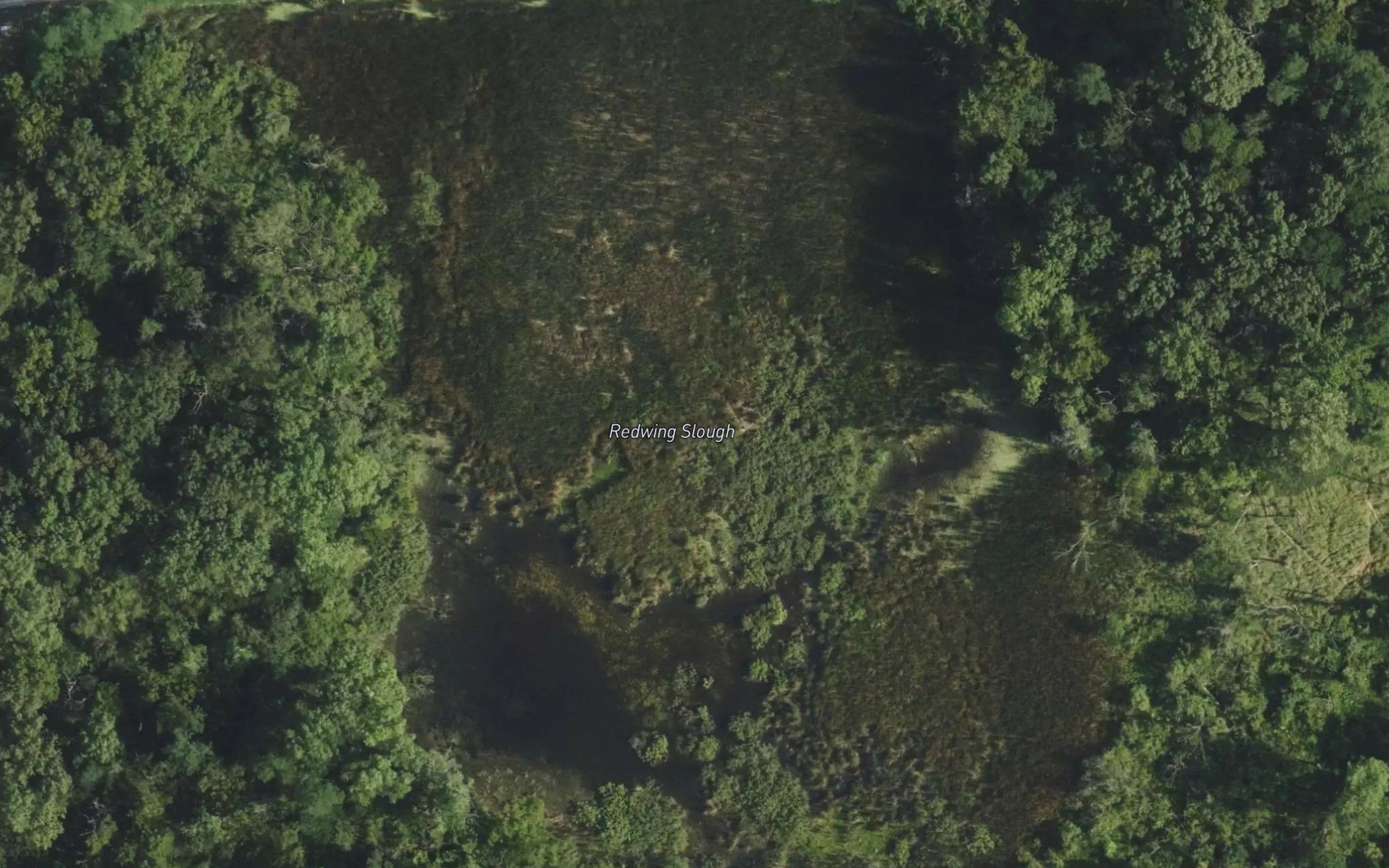 Red Wing Slough