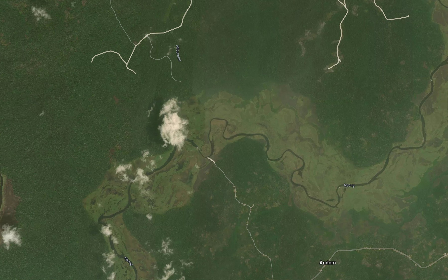 Satellite map of the Mvongo