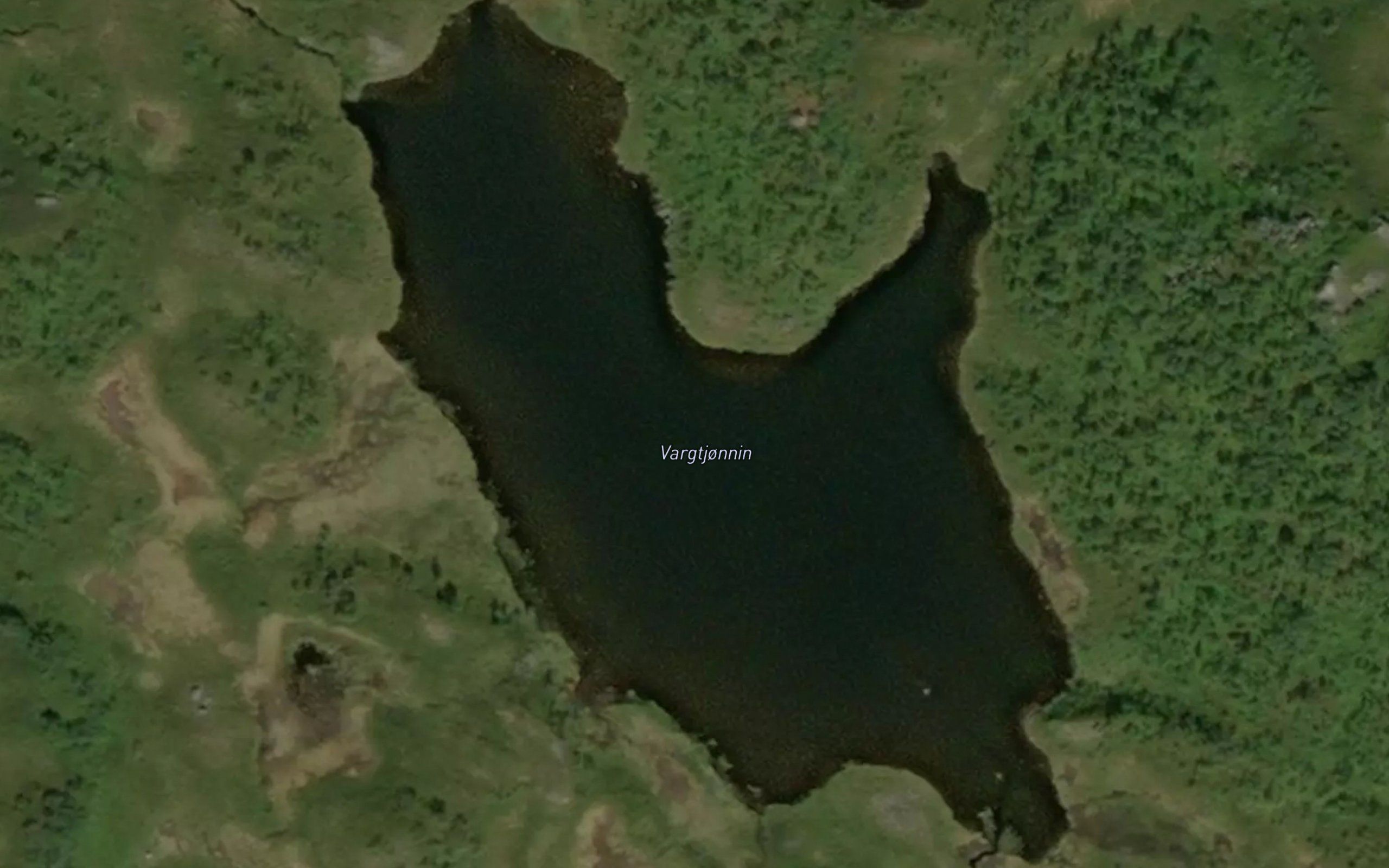Vargtjornin