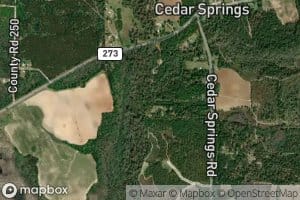 Cedar Springs Branch