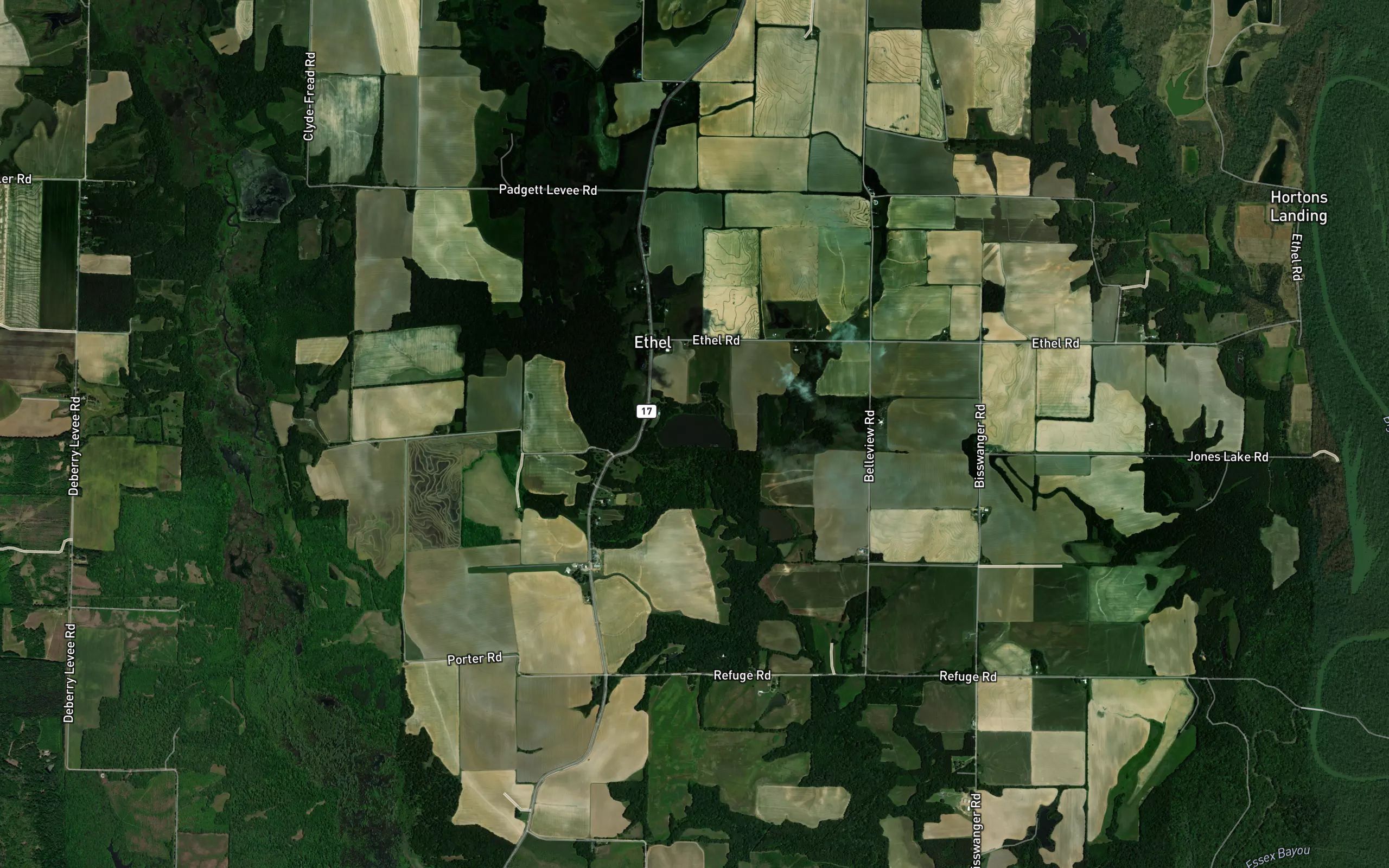 Lake Rosebud
