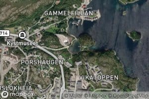 Aurtjorna