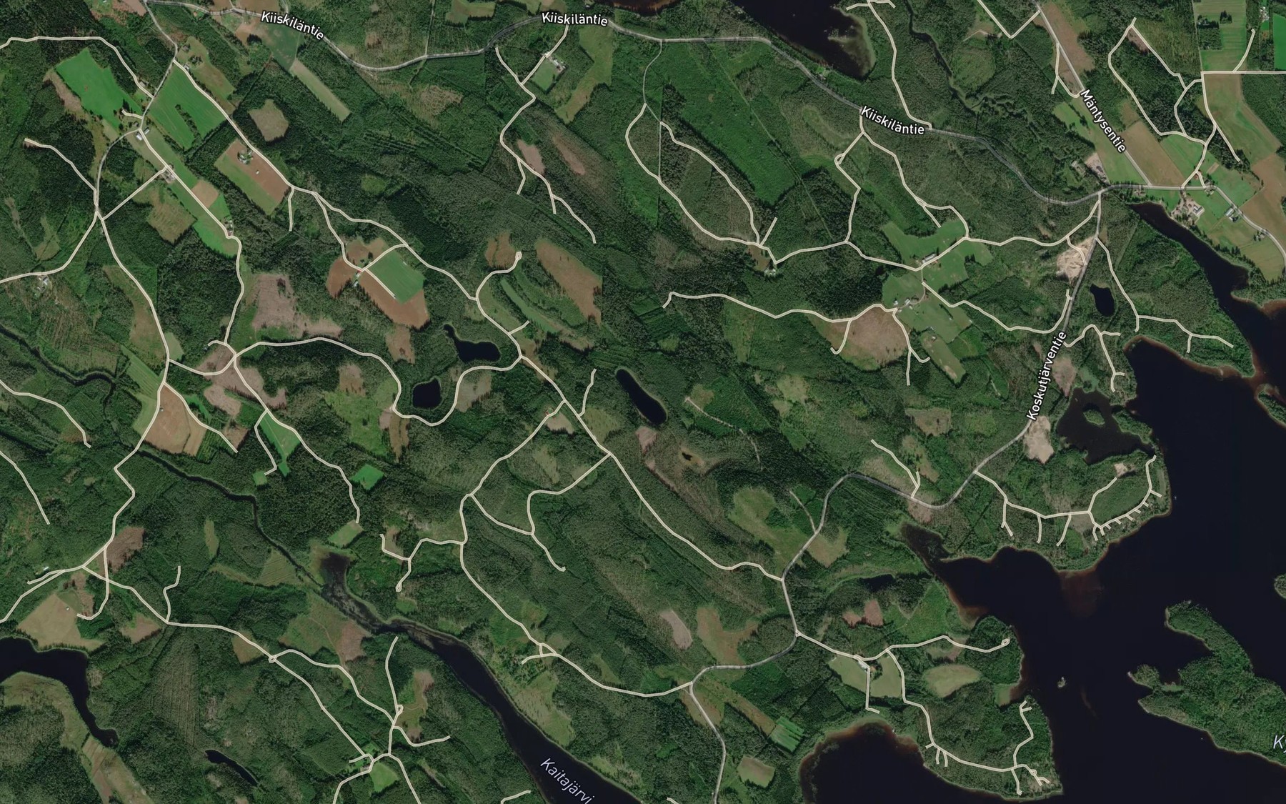Satellite map of the Tarkinlampi