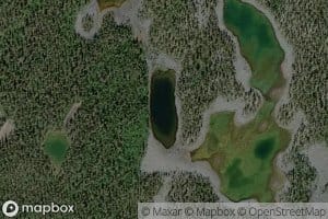 Kortelampi