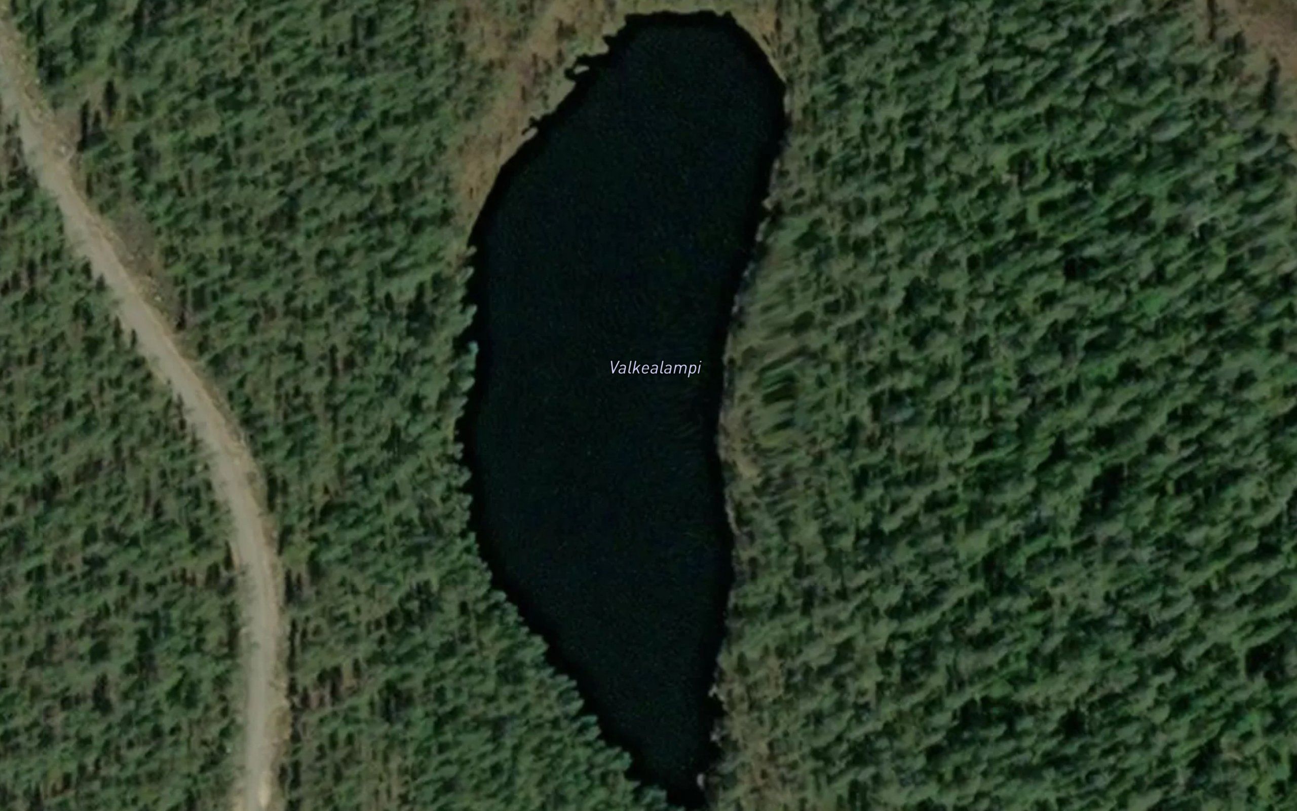 Valkealampi