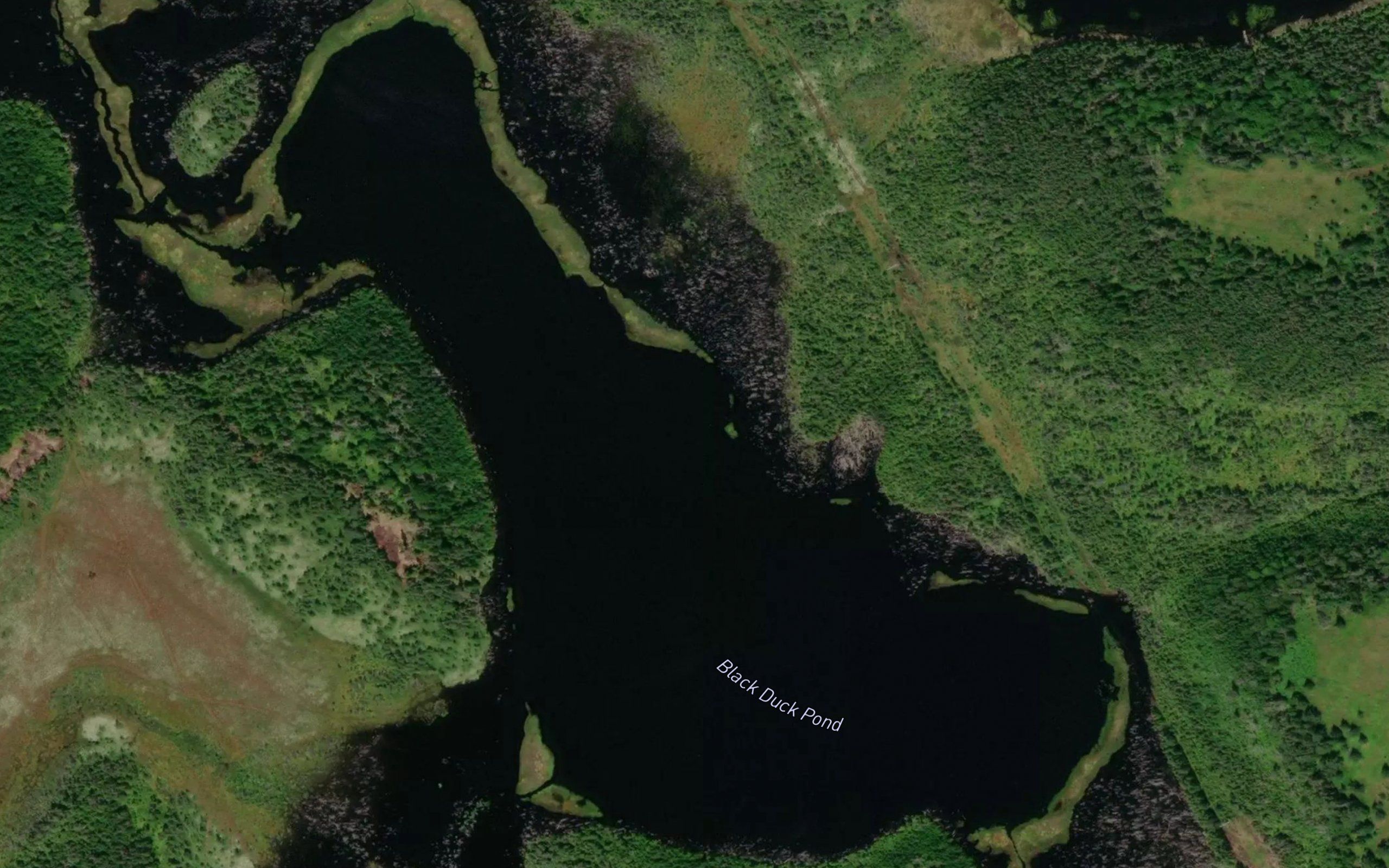 Black Duck Pond