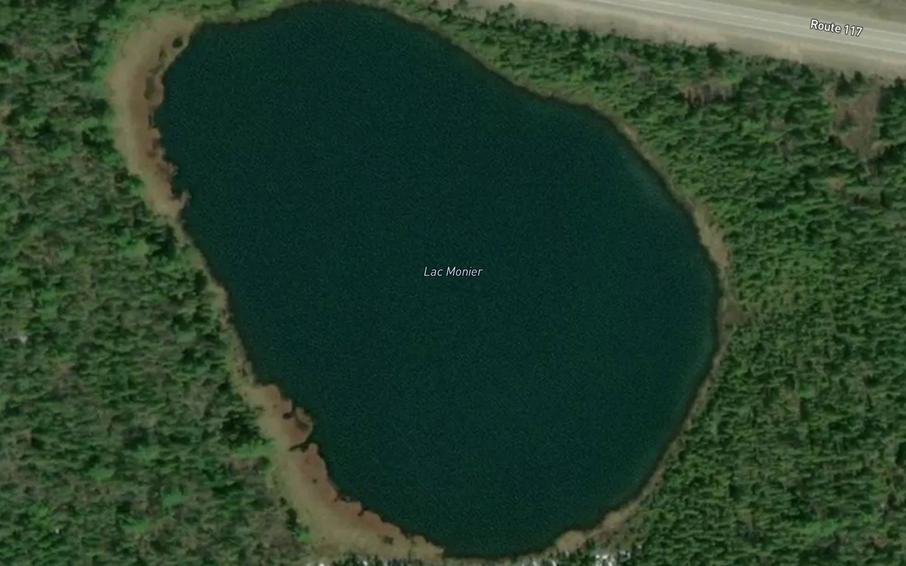 Satellite map of the Lac Monier