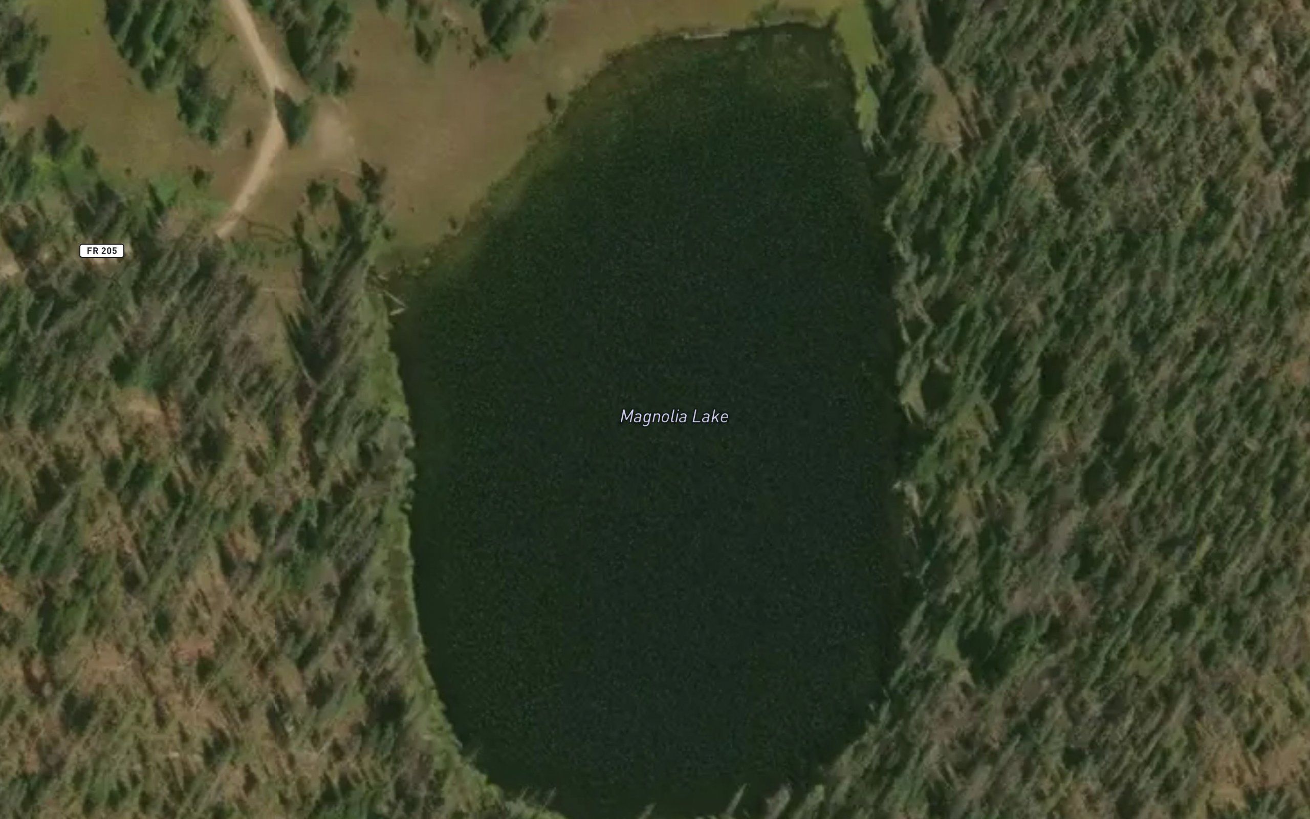 Magnolia Lake