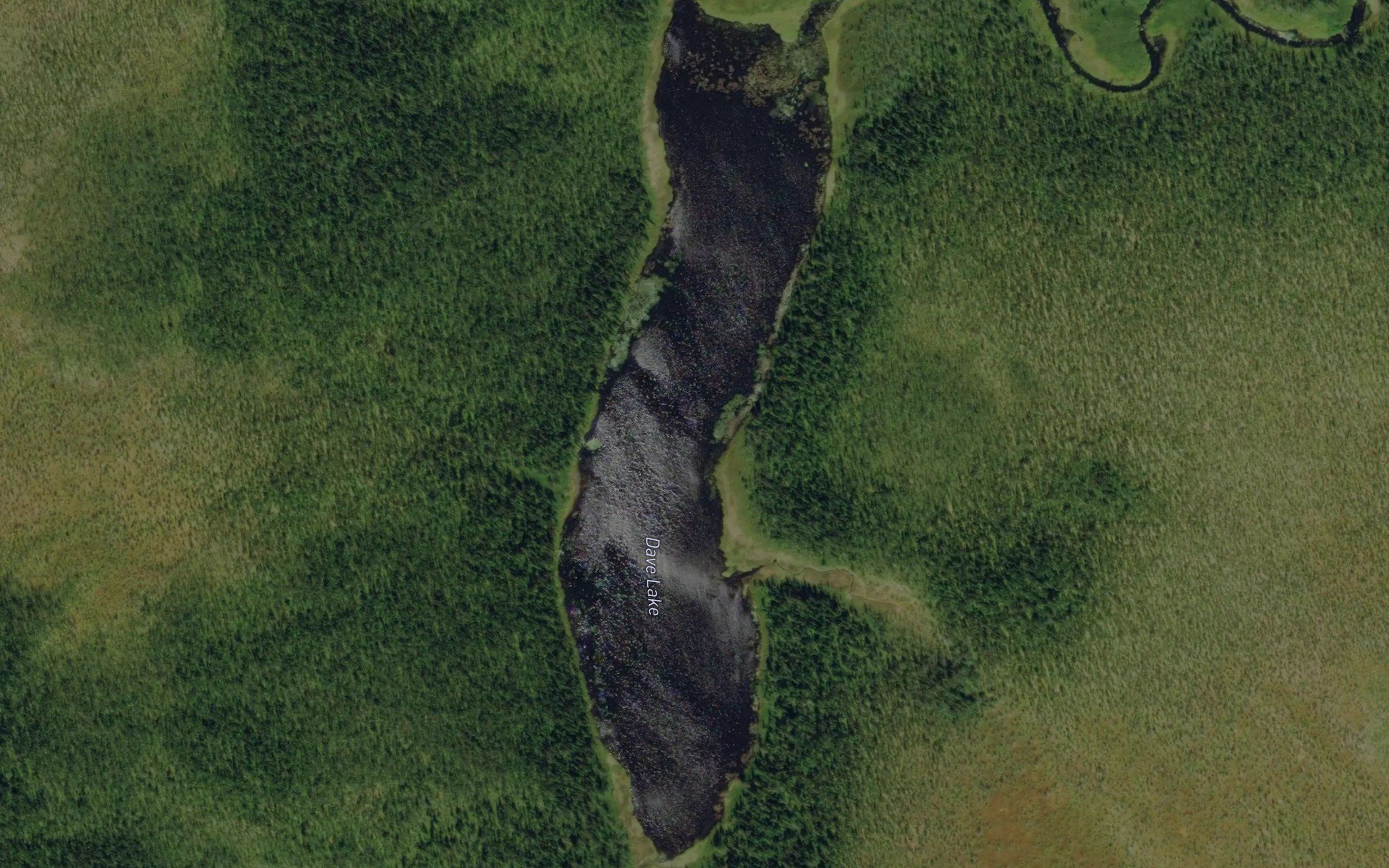 Dave Lake