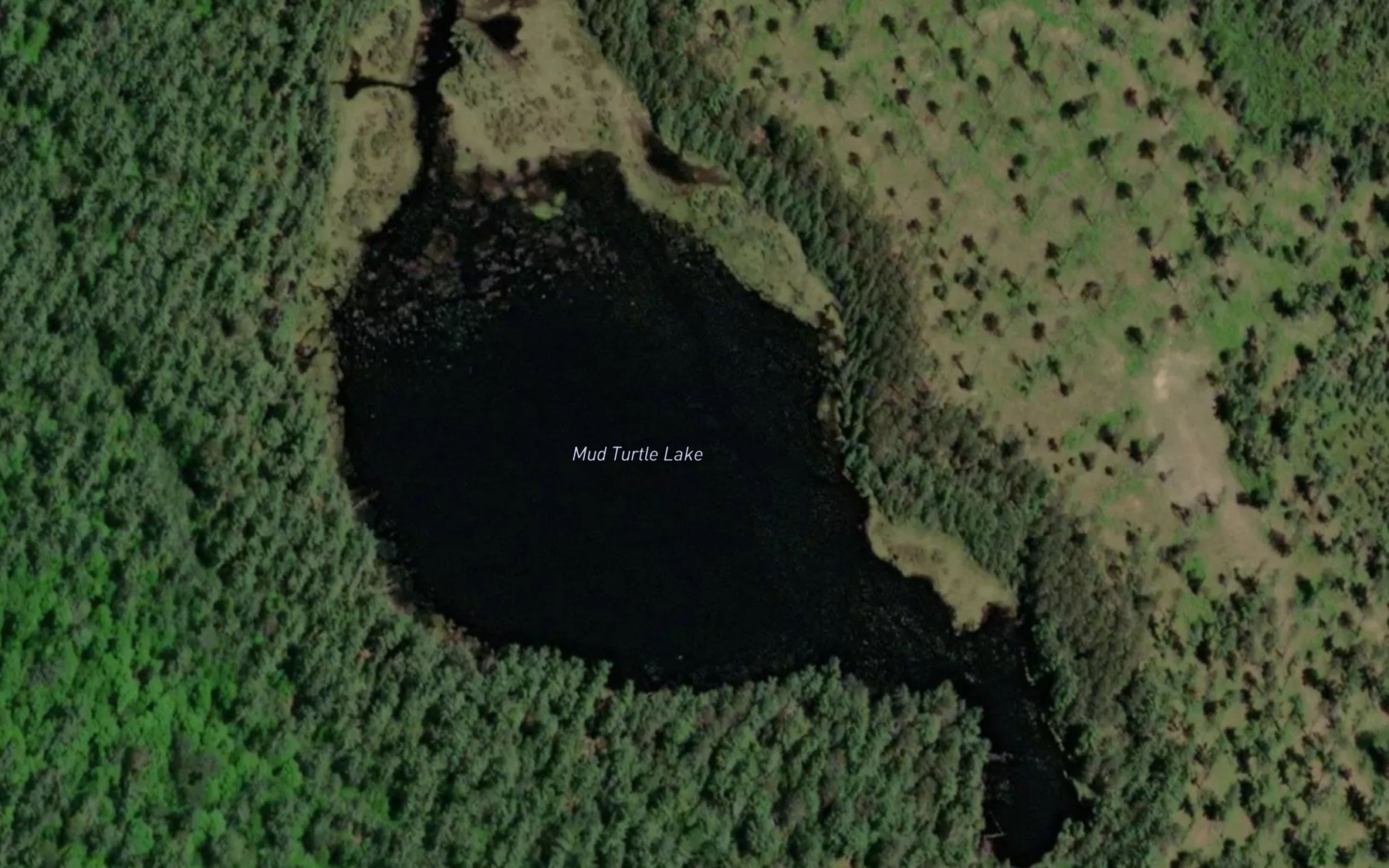 Satellite map of the Mud Turtle Lake