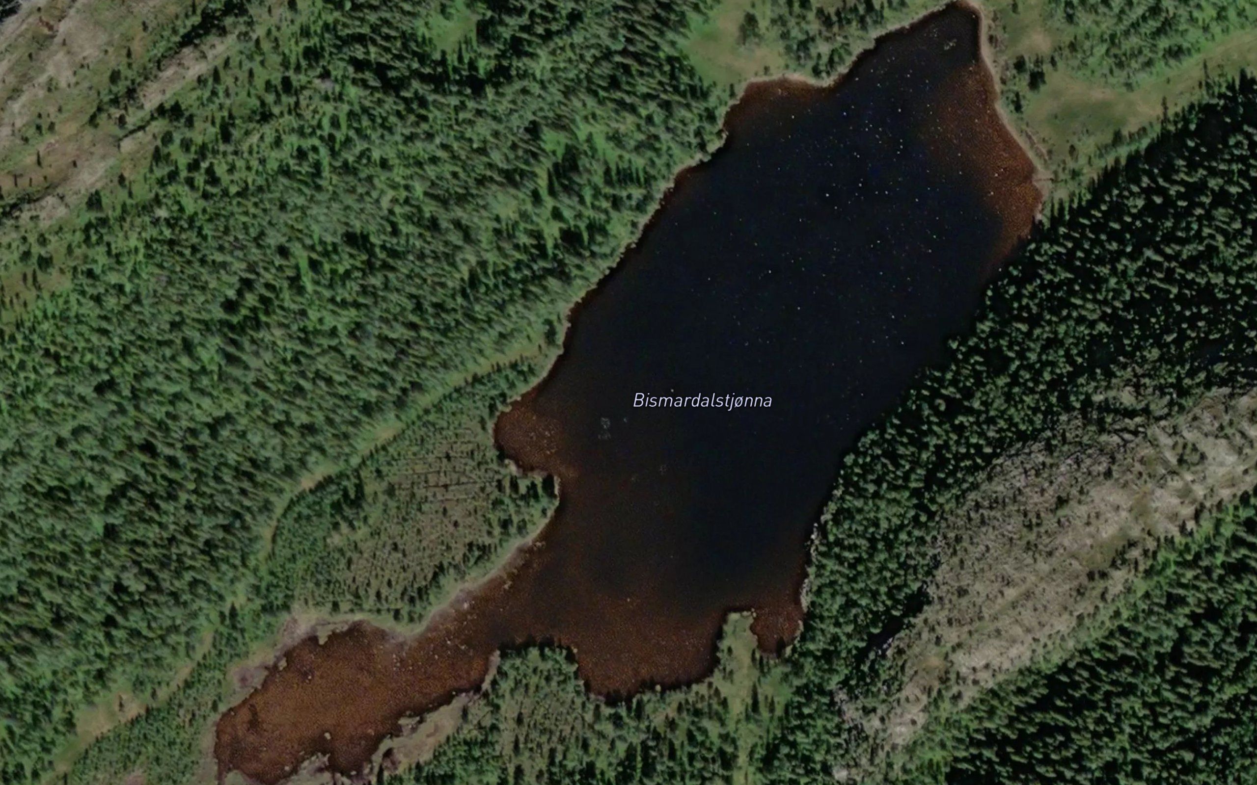 Bismartjorna