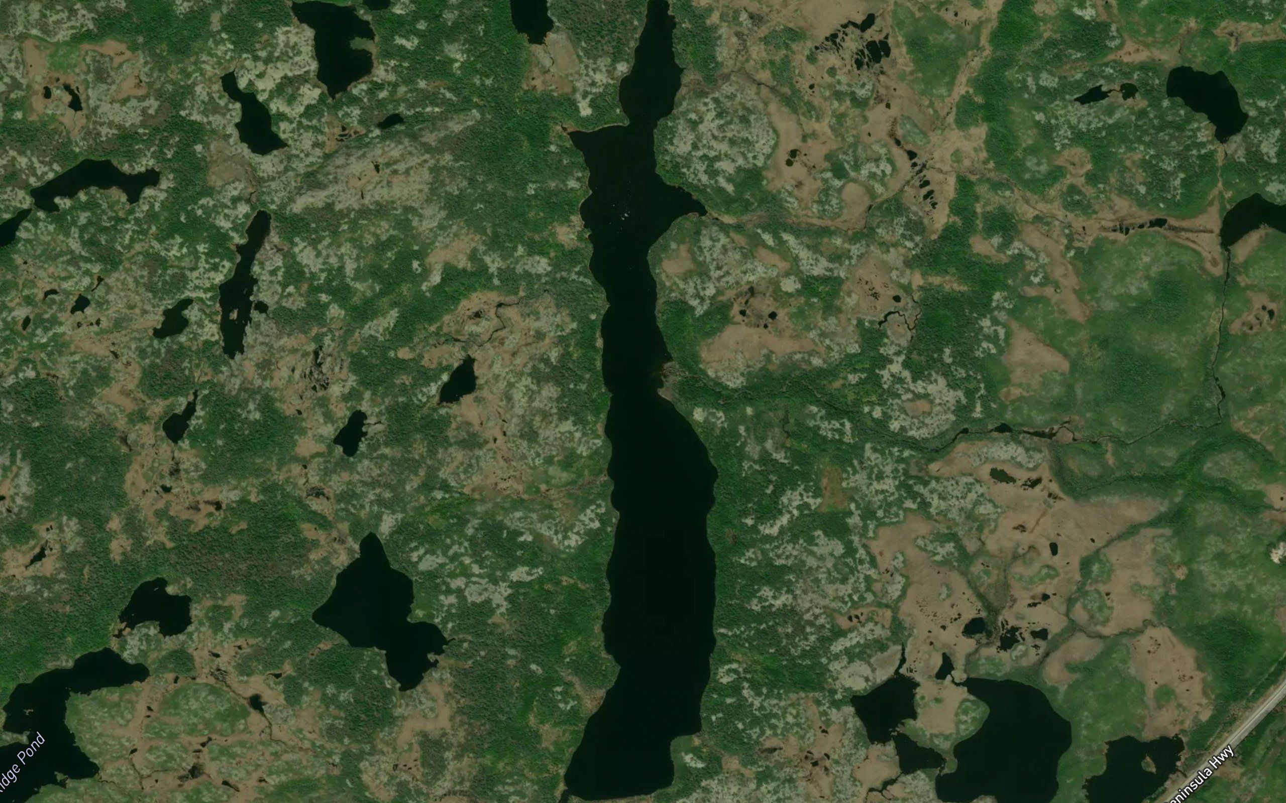 Rattle Pond