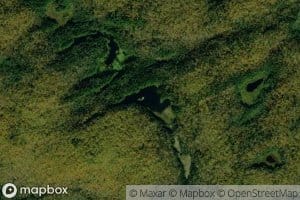 Wilson Pond