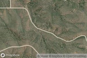 Larson Spring