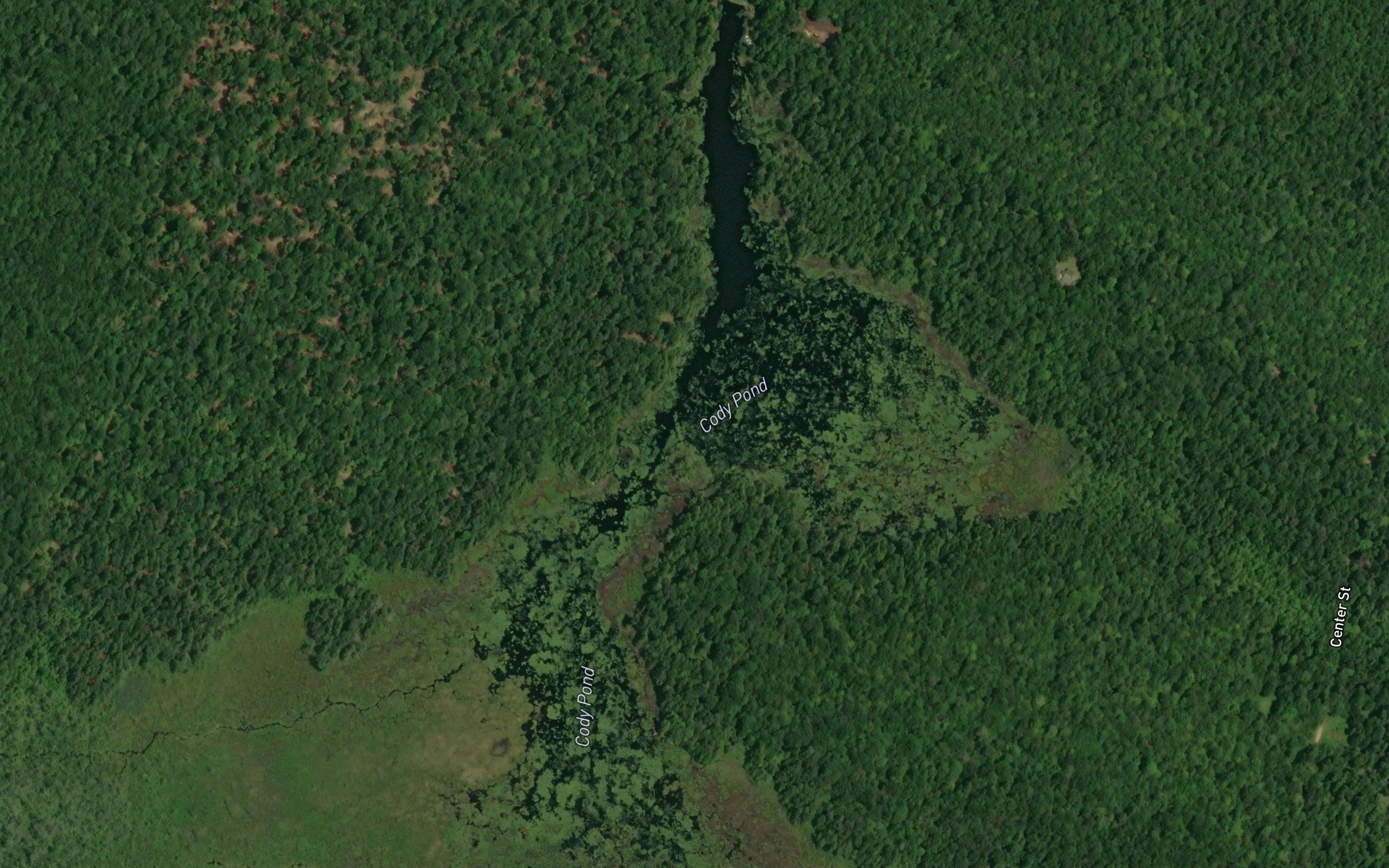 Cody Pond