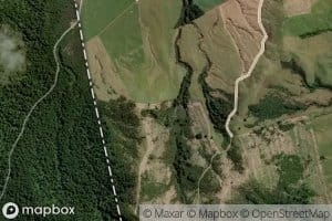 Haehaeharakeke Stream