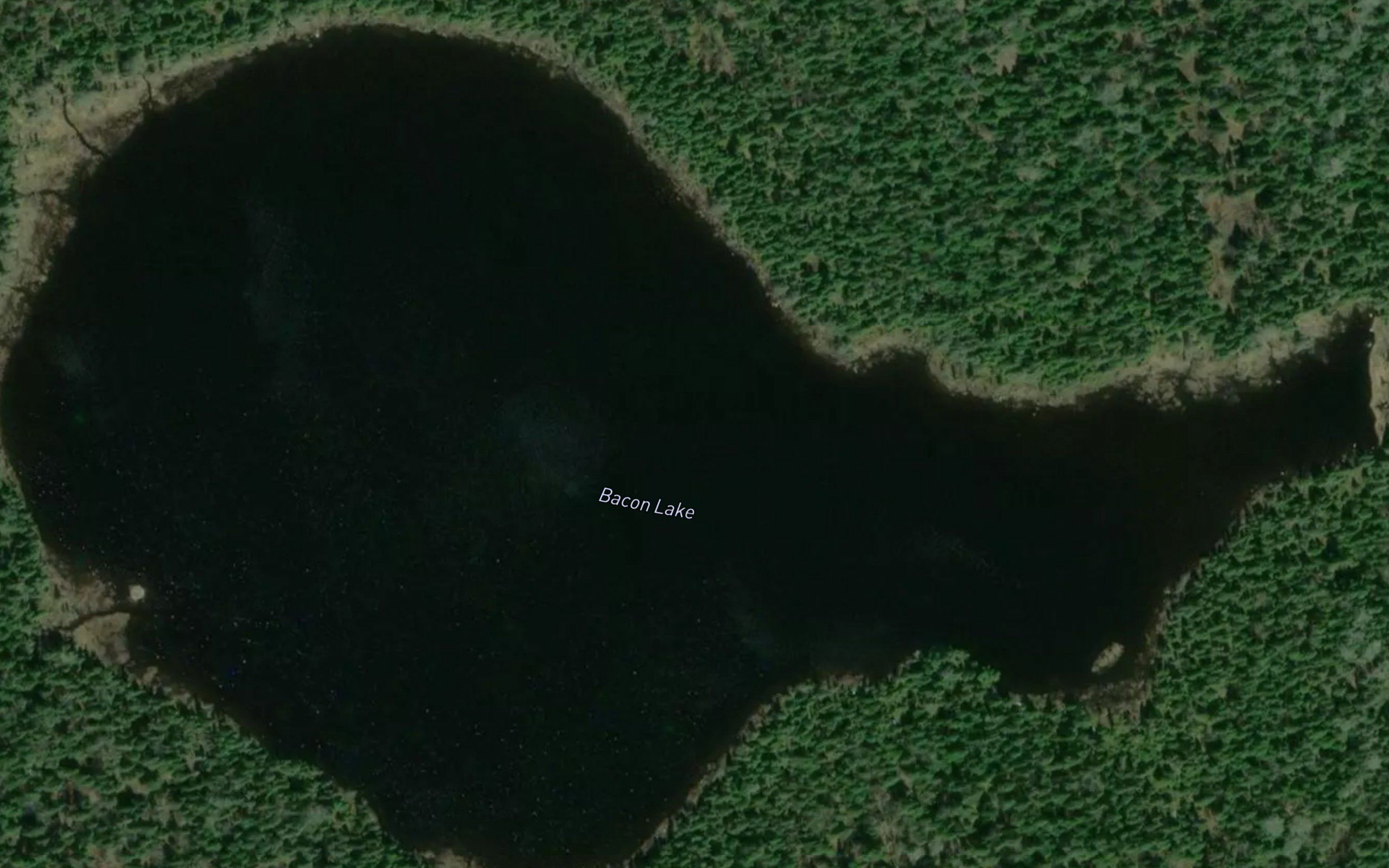 Bacon Lake