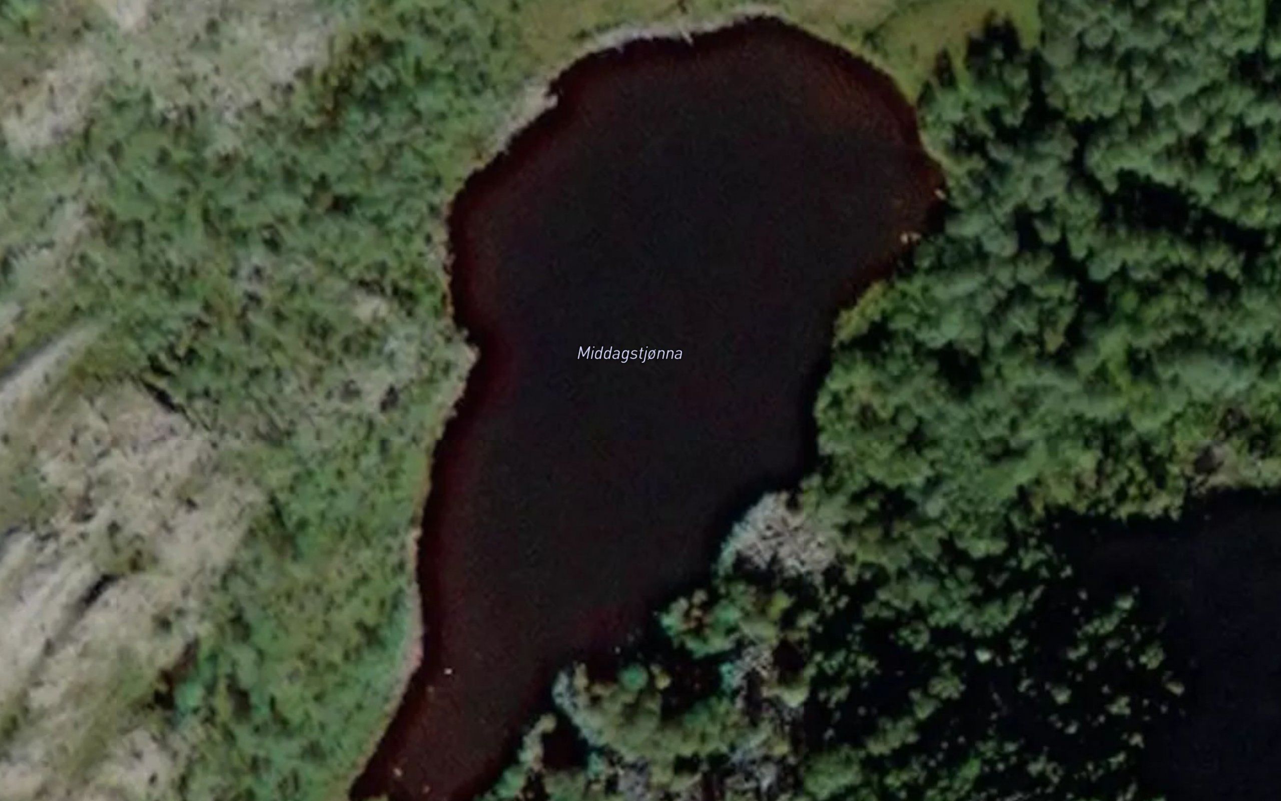 Middagstjorna