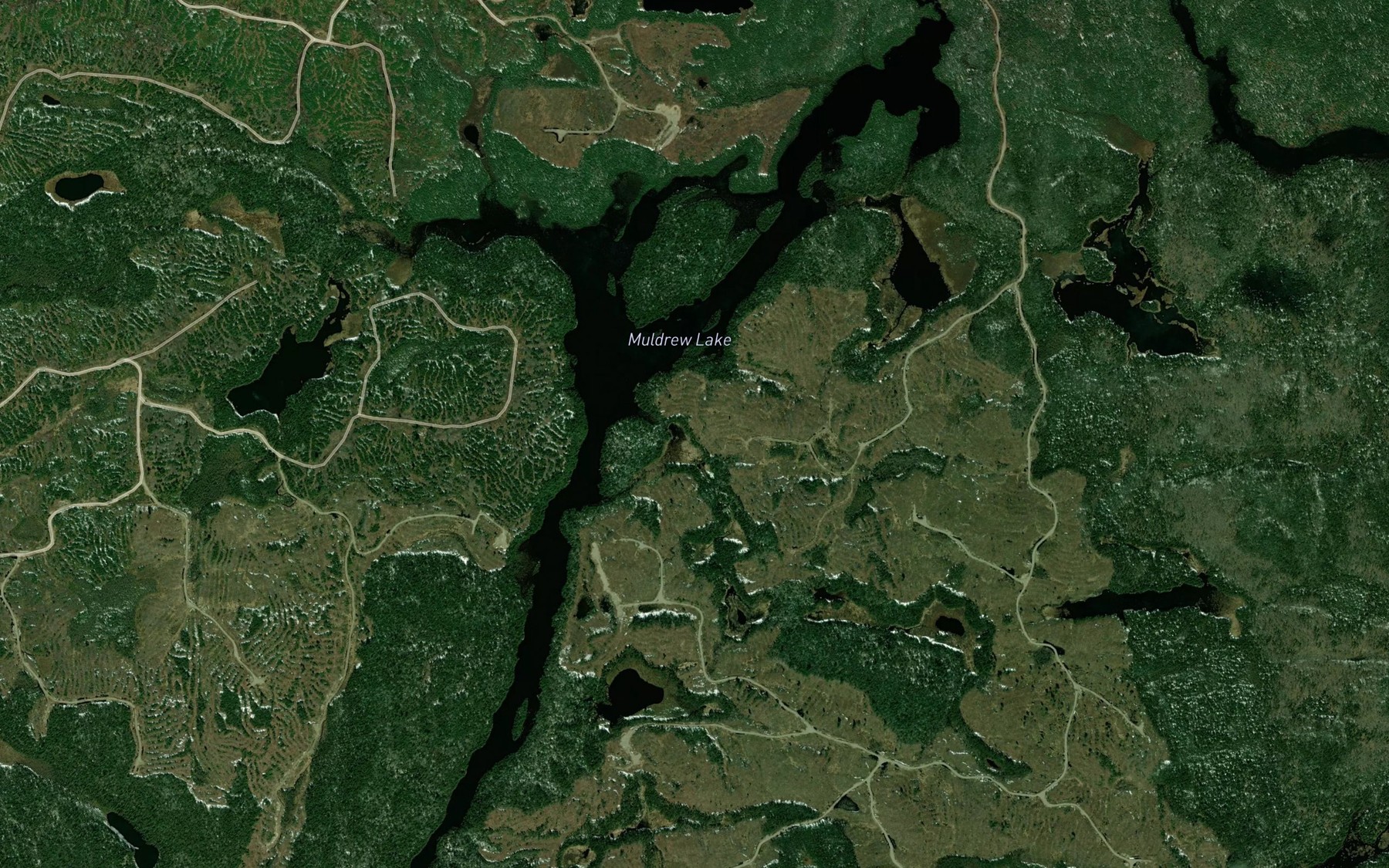 Satellite map of the Lower Muldrew Lake