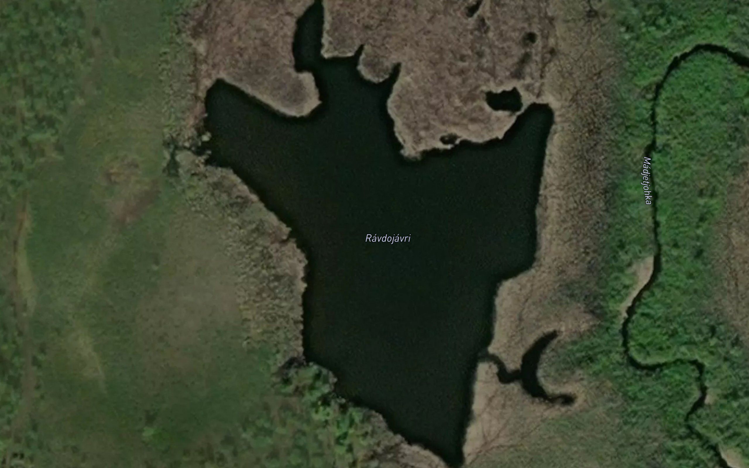 Ravdujavri