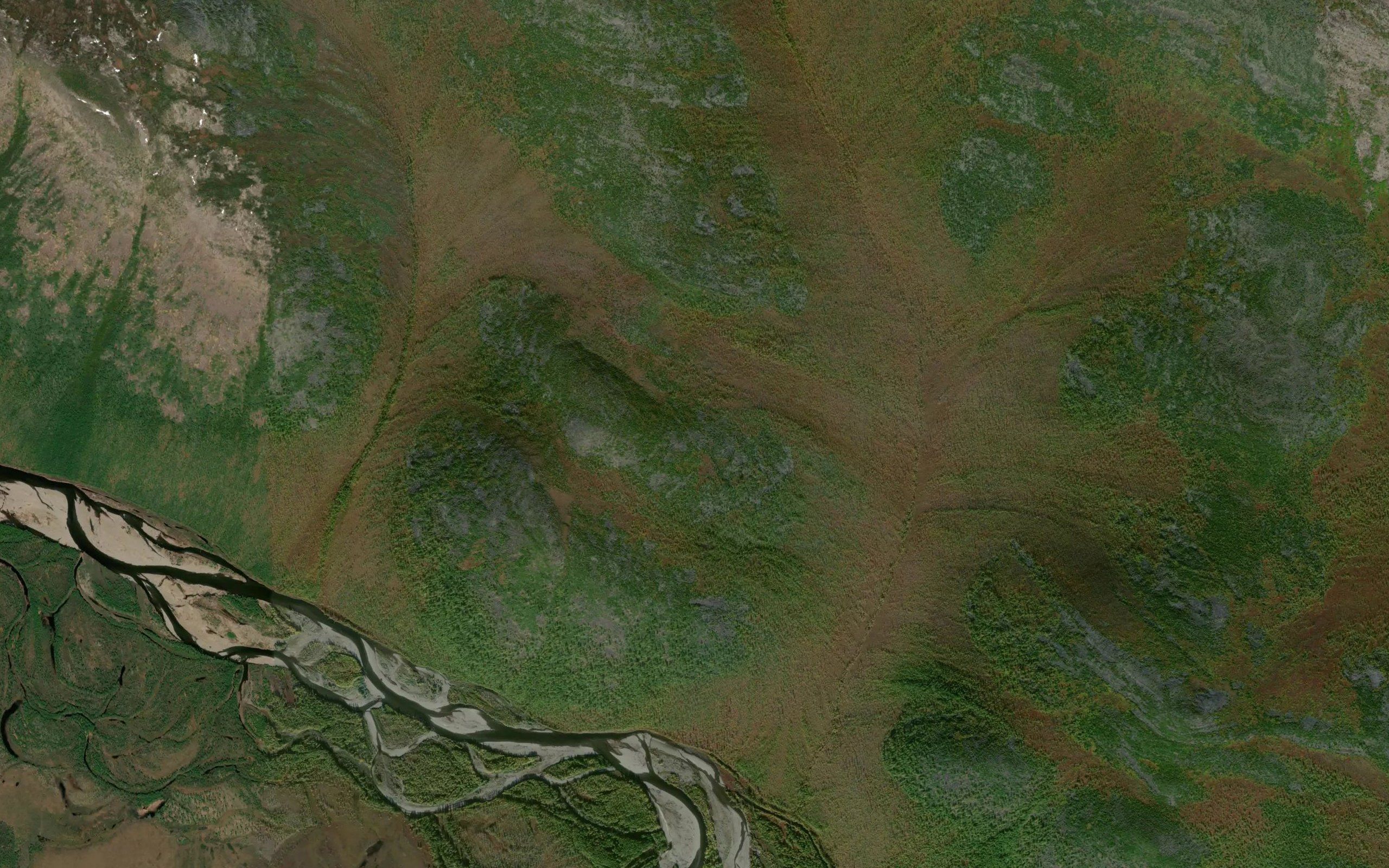Taktyn