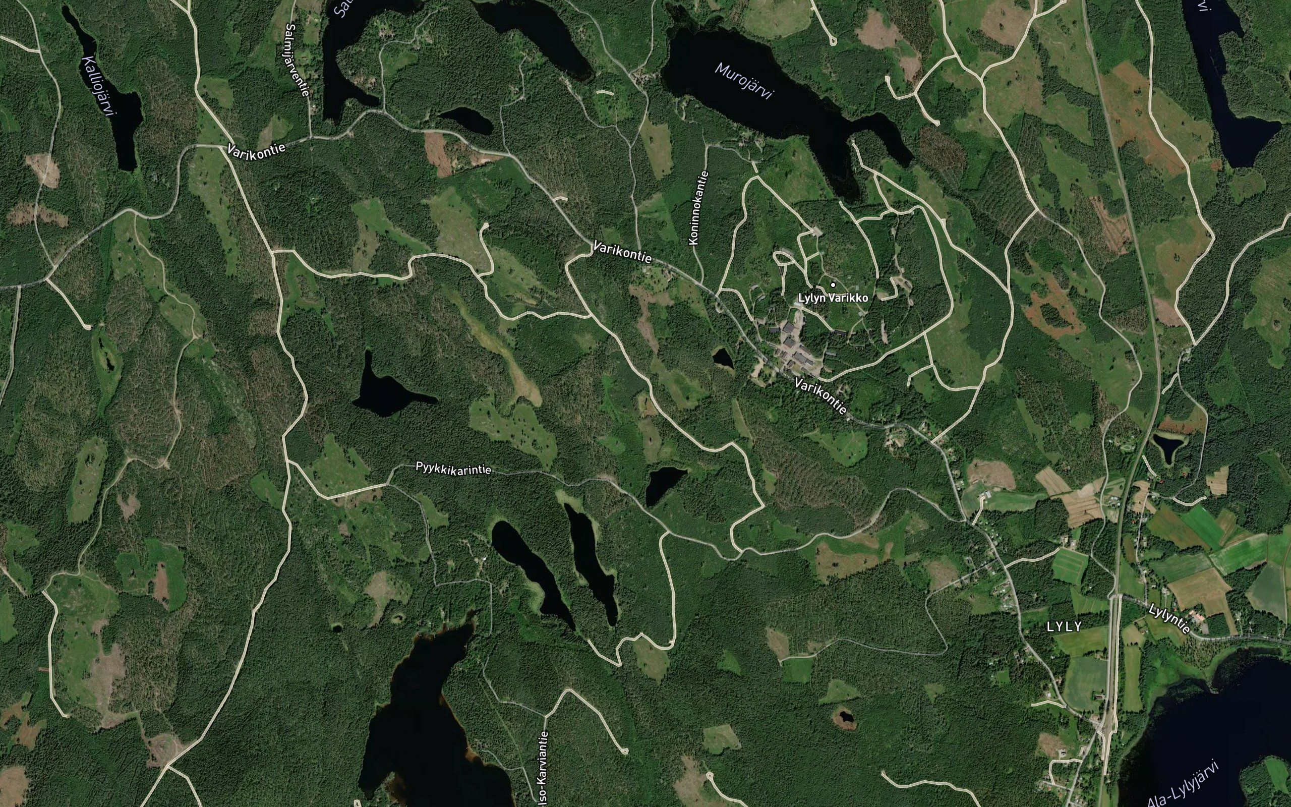 Haaralammi