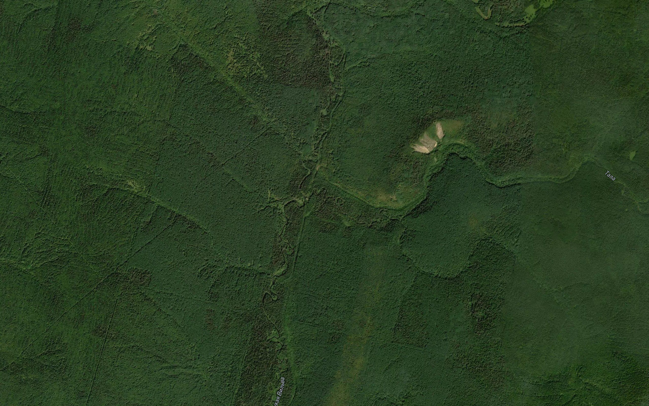 Tala