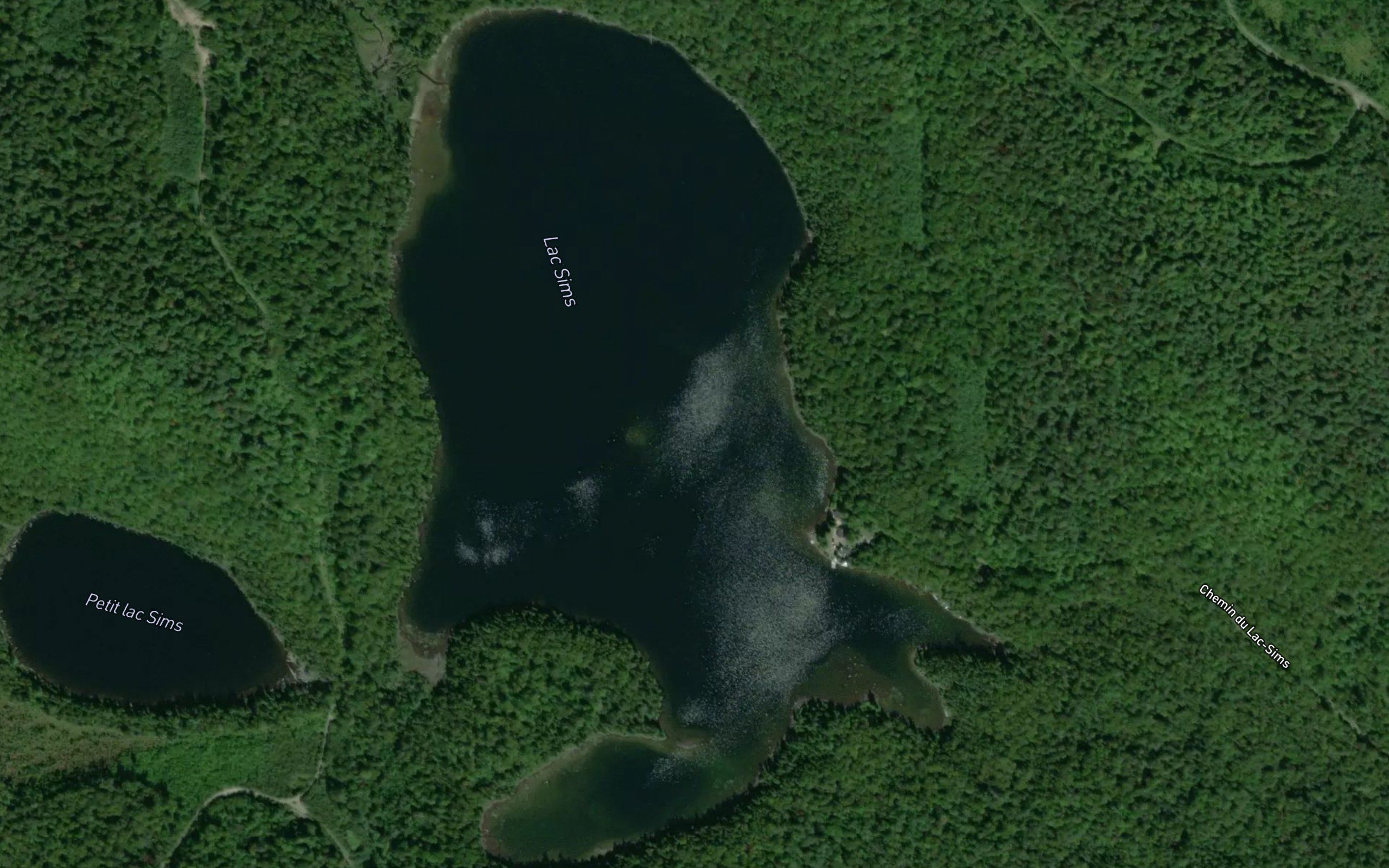 Lac Sims