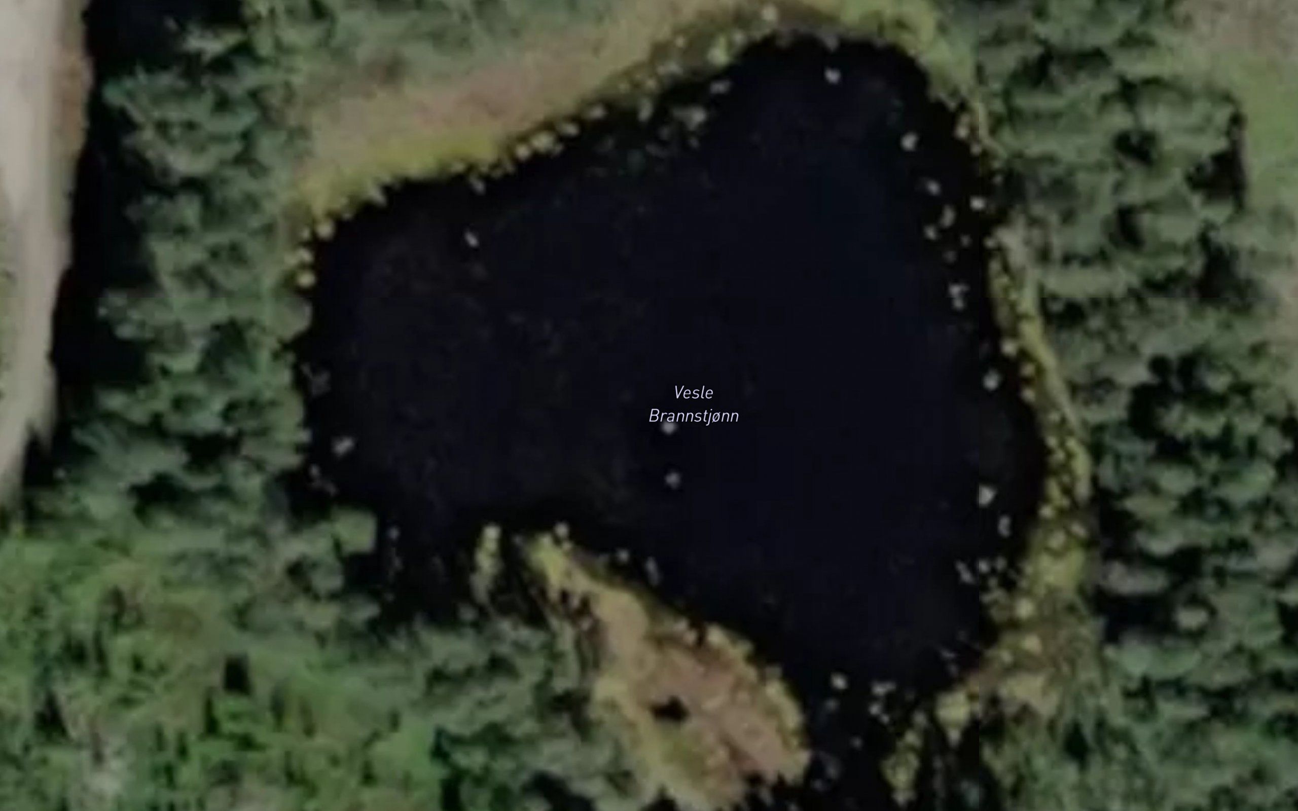 Brannstjorn,vle