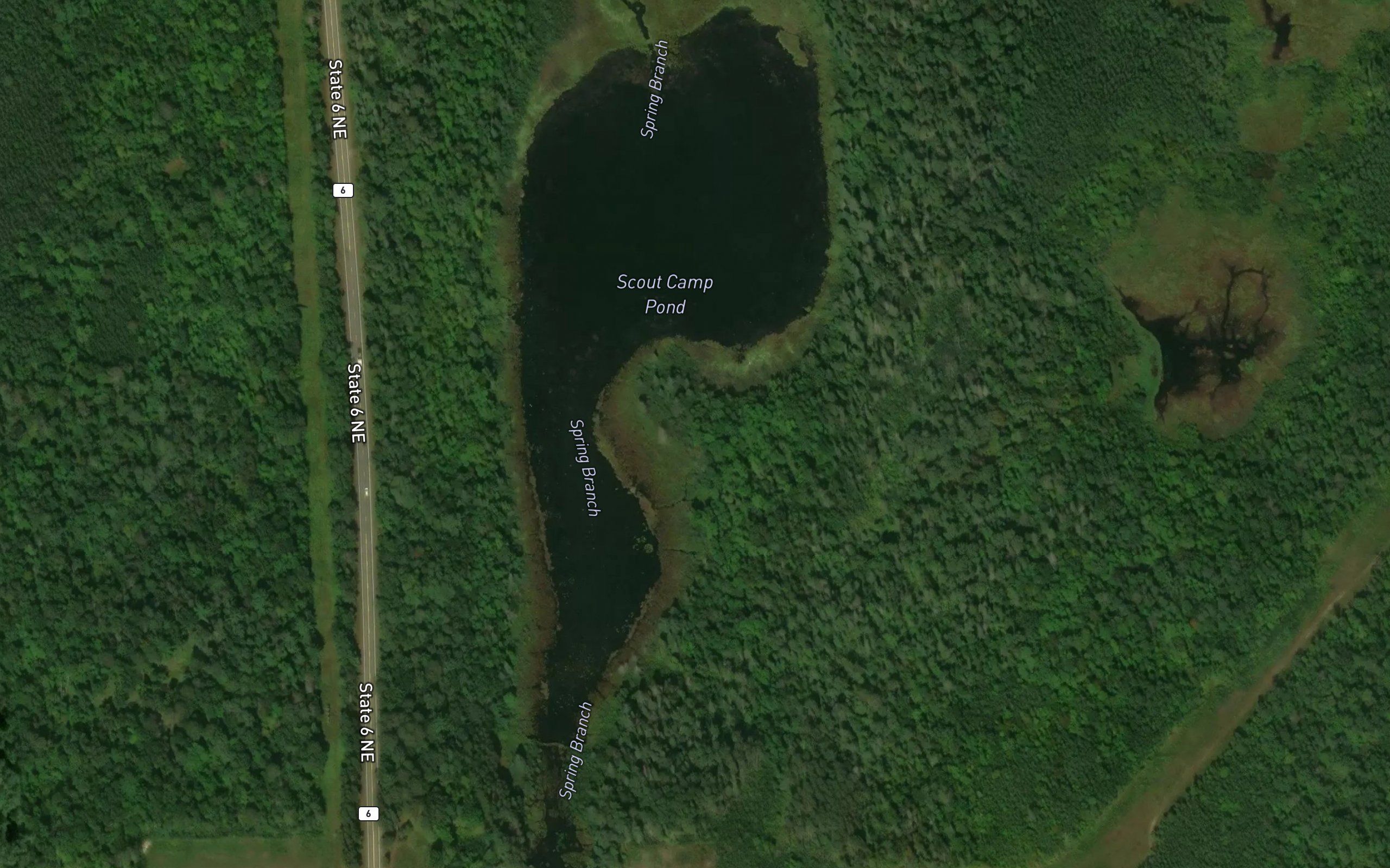 Scout Camp Pond