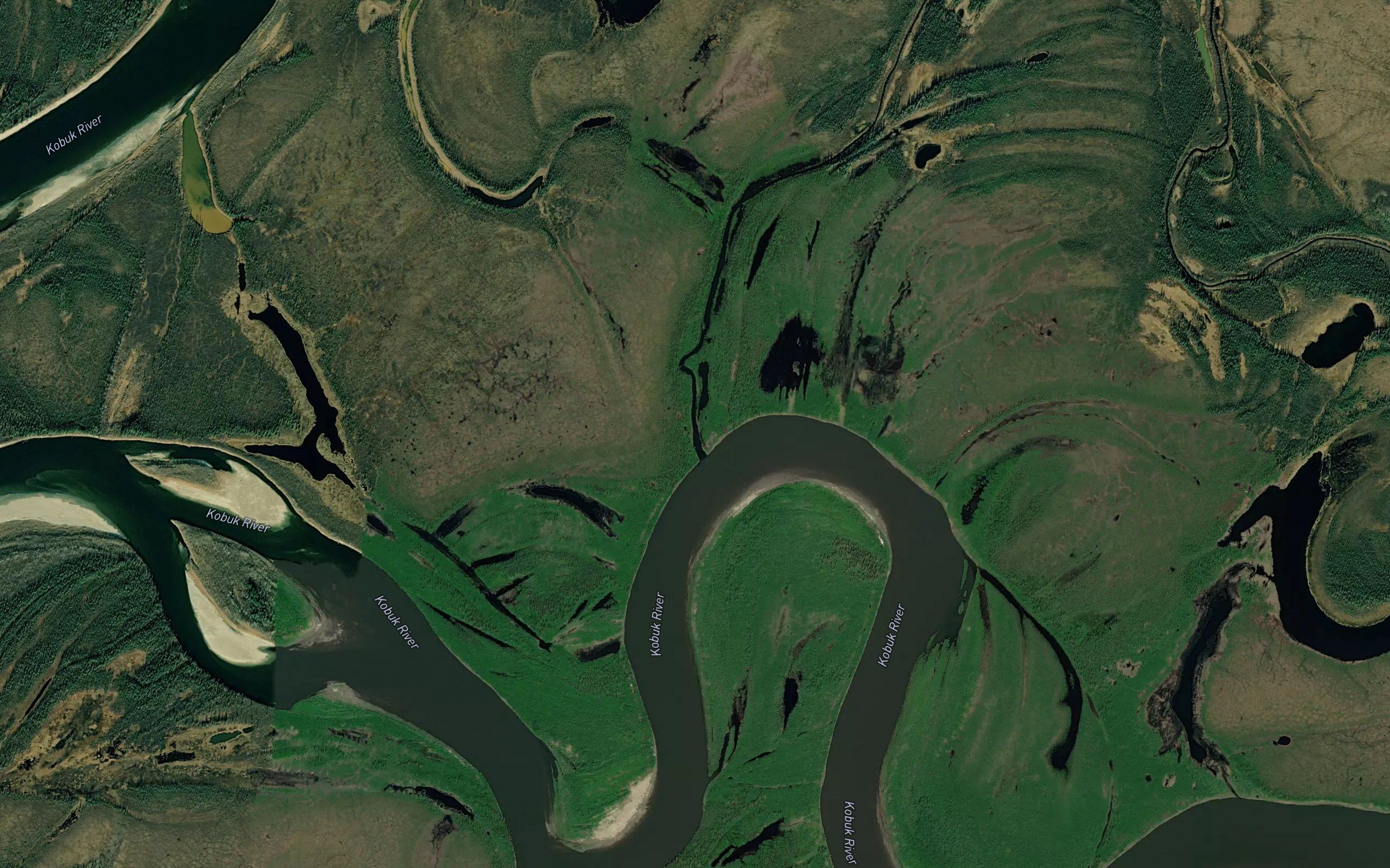 Cosmos Creek