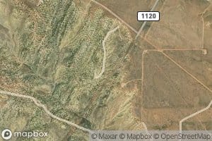 Little Barker Arroyo