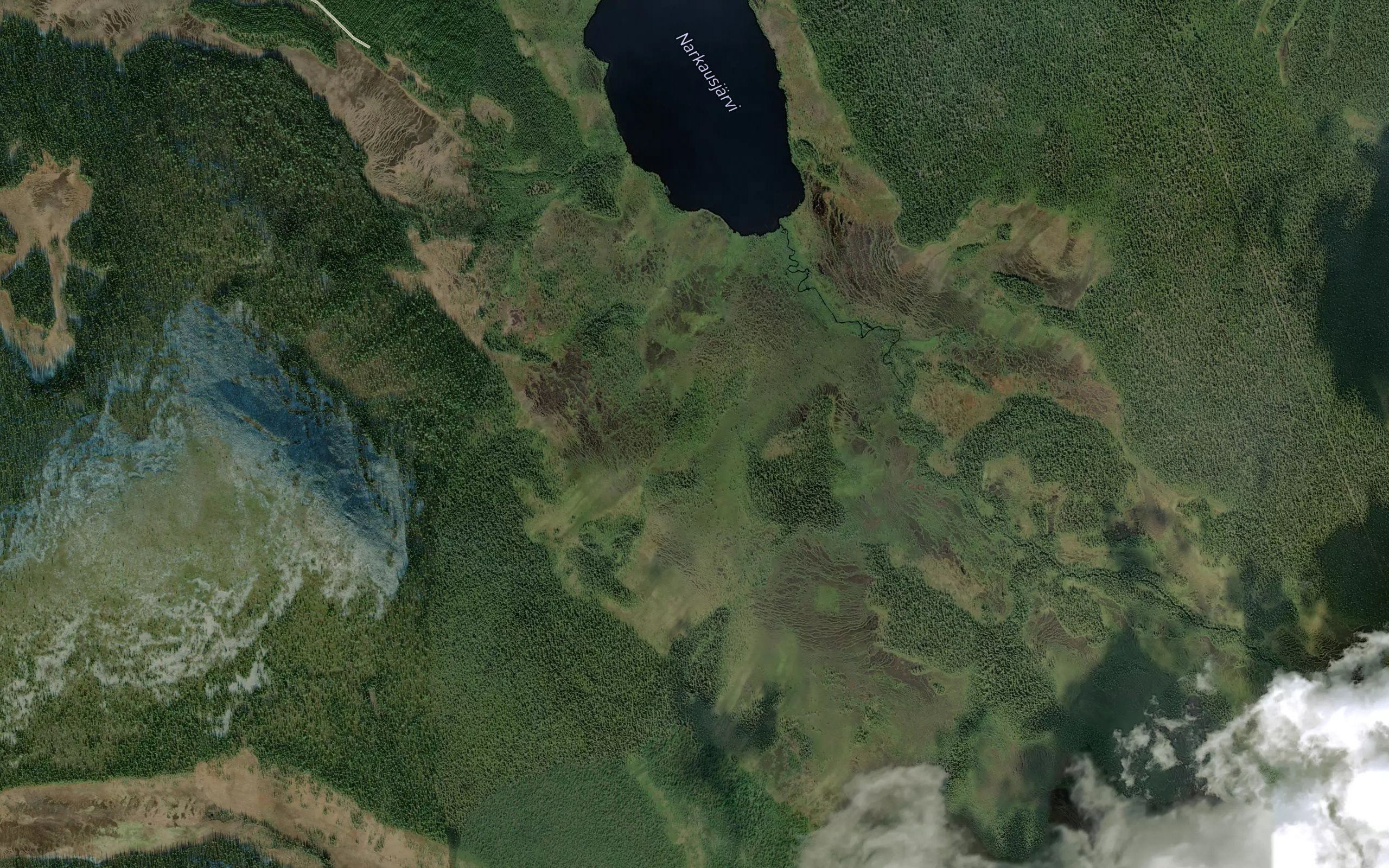 Narkausjarvi