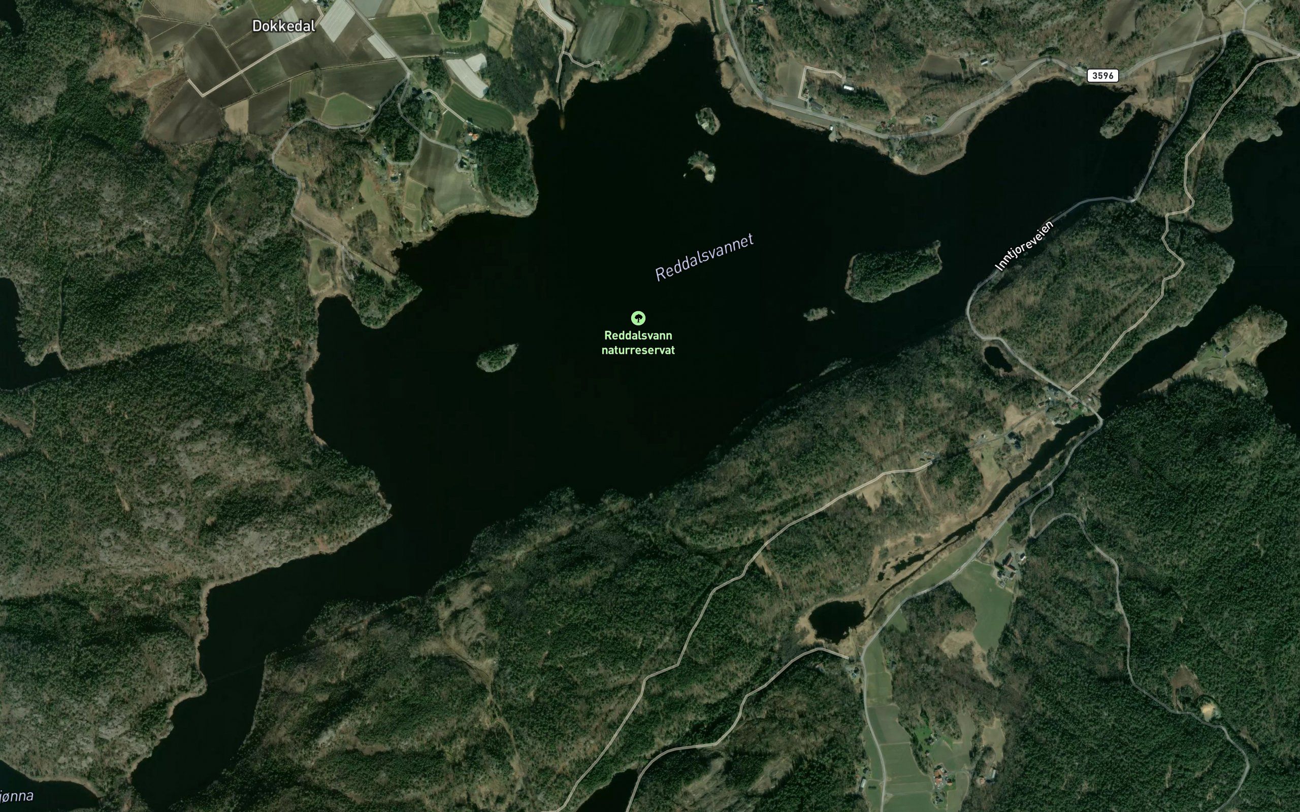 Reddalsvannet