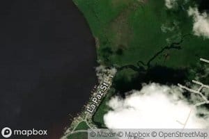 Bayou Marcus