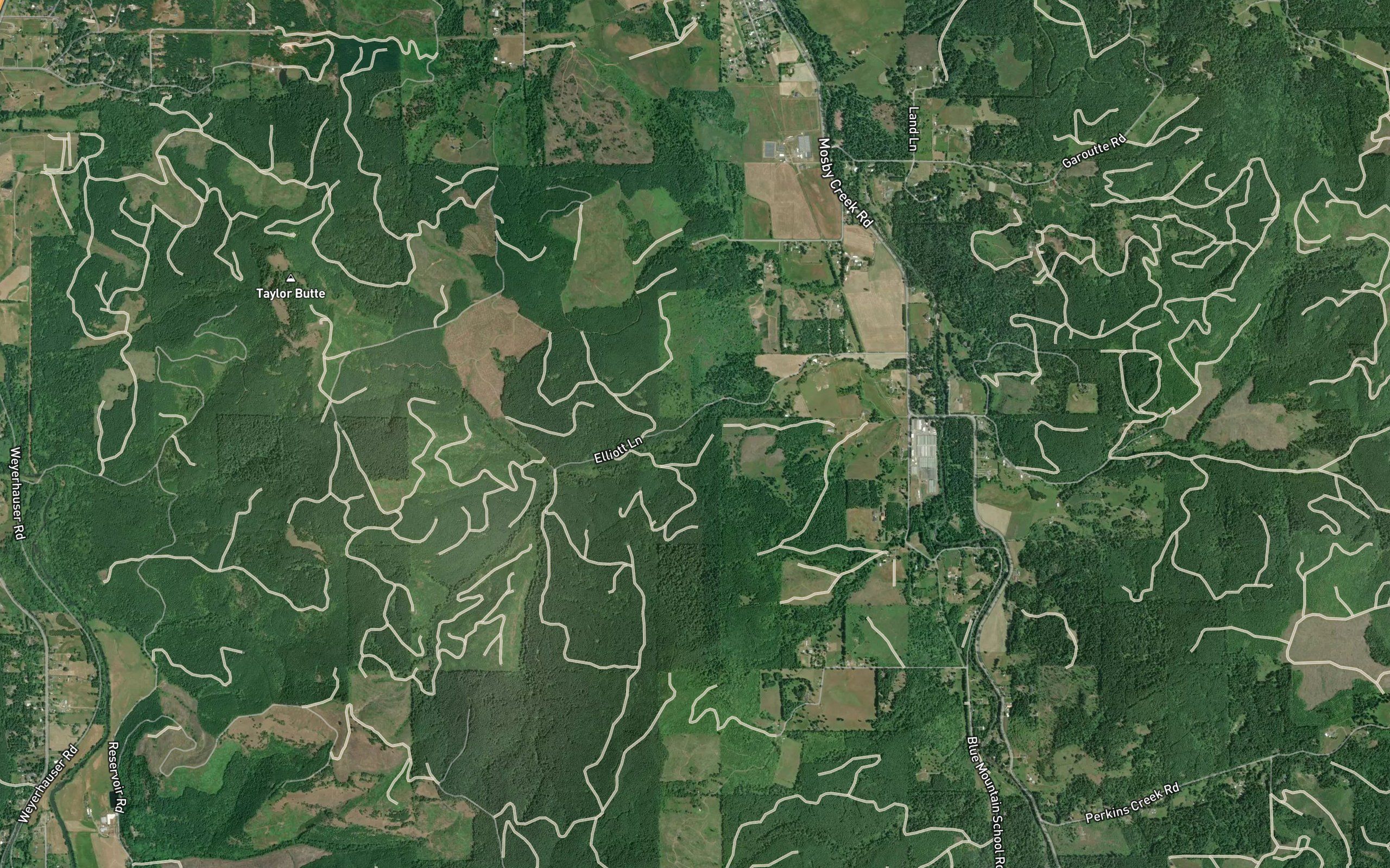 Champion Creek