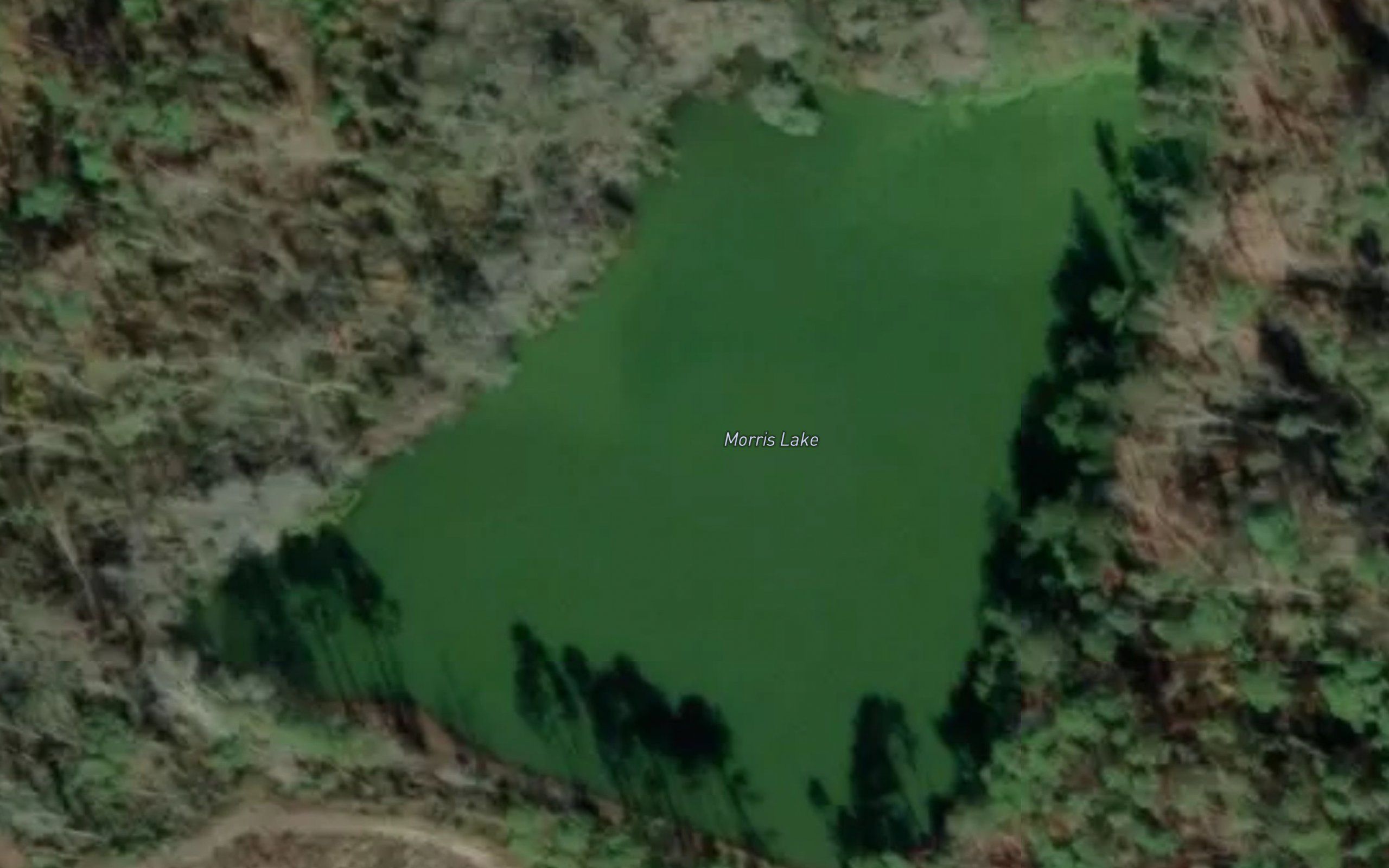 Morris Lake