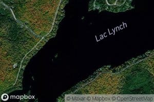 Lac Lynch