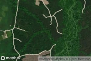 Cape Charles Spring Branch