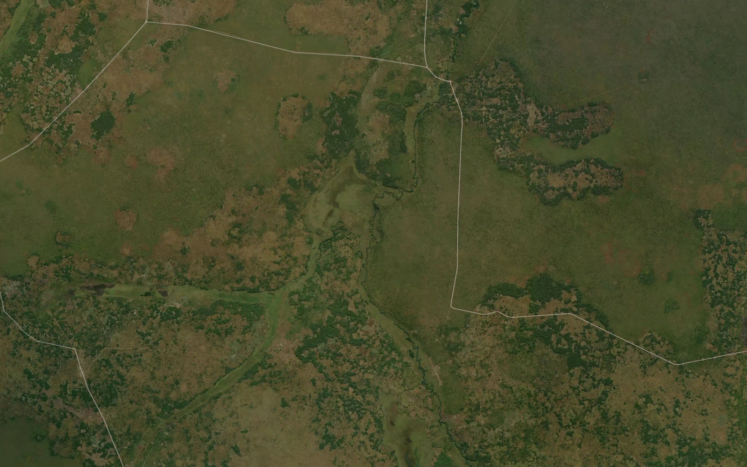 Cazamba