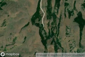 Thoroughbred Spring Number Two