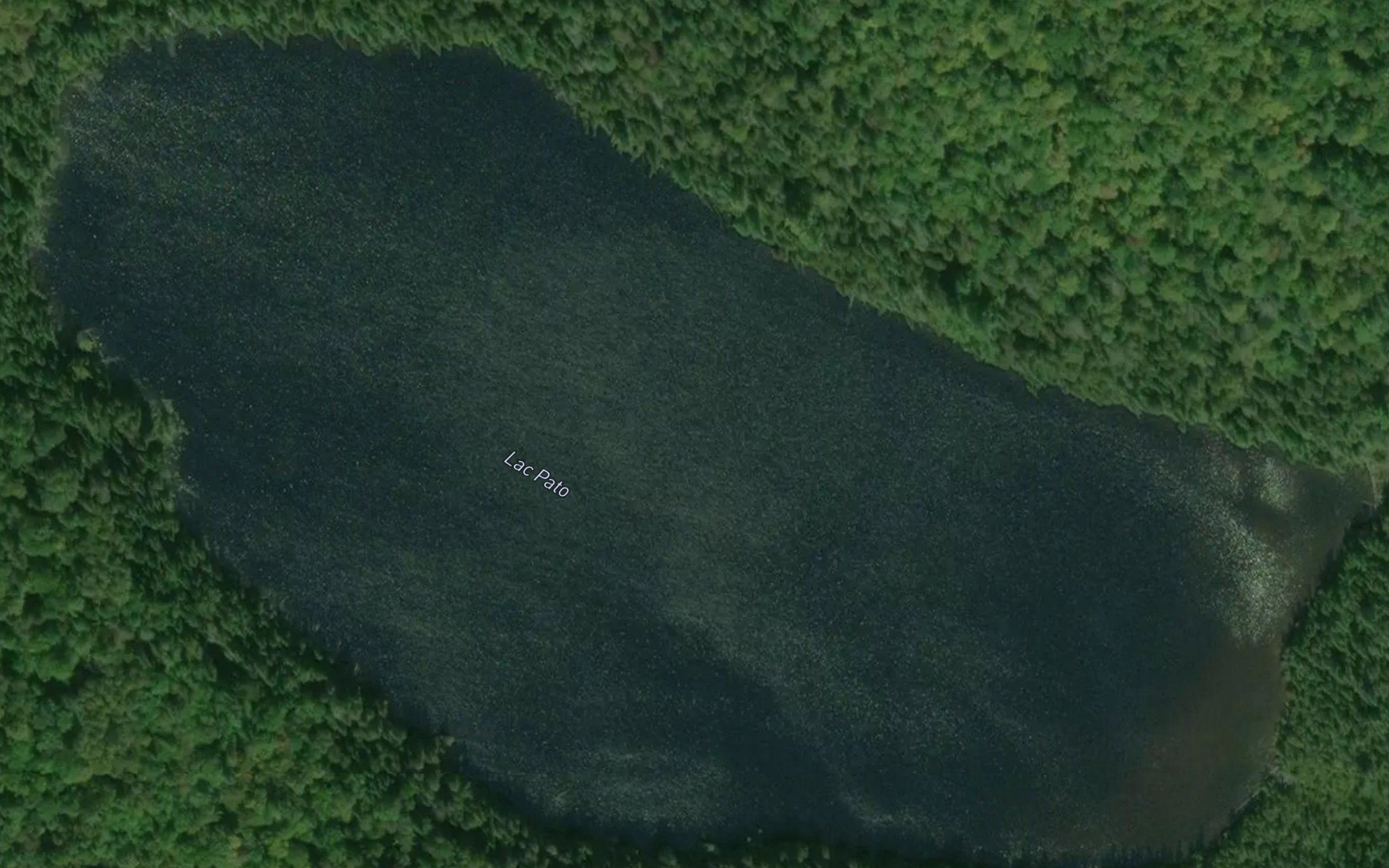 Lac Pato