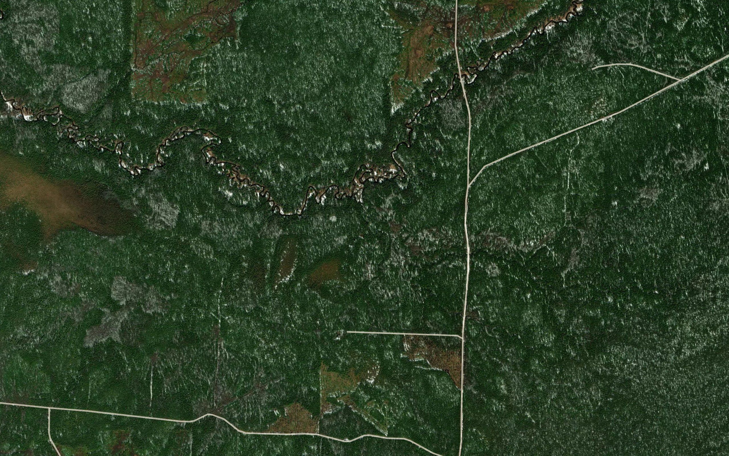 Letnyaya